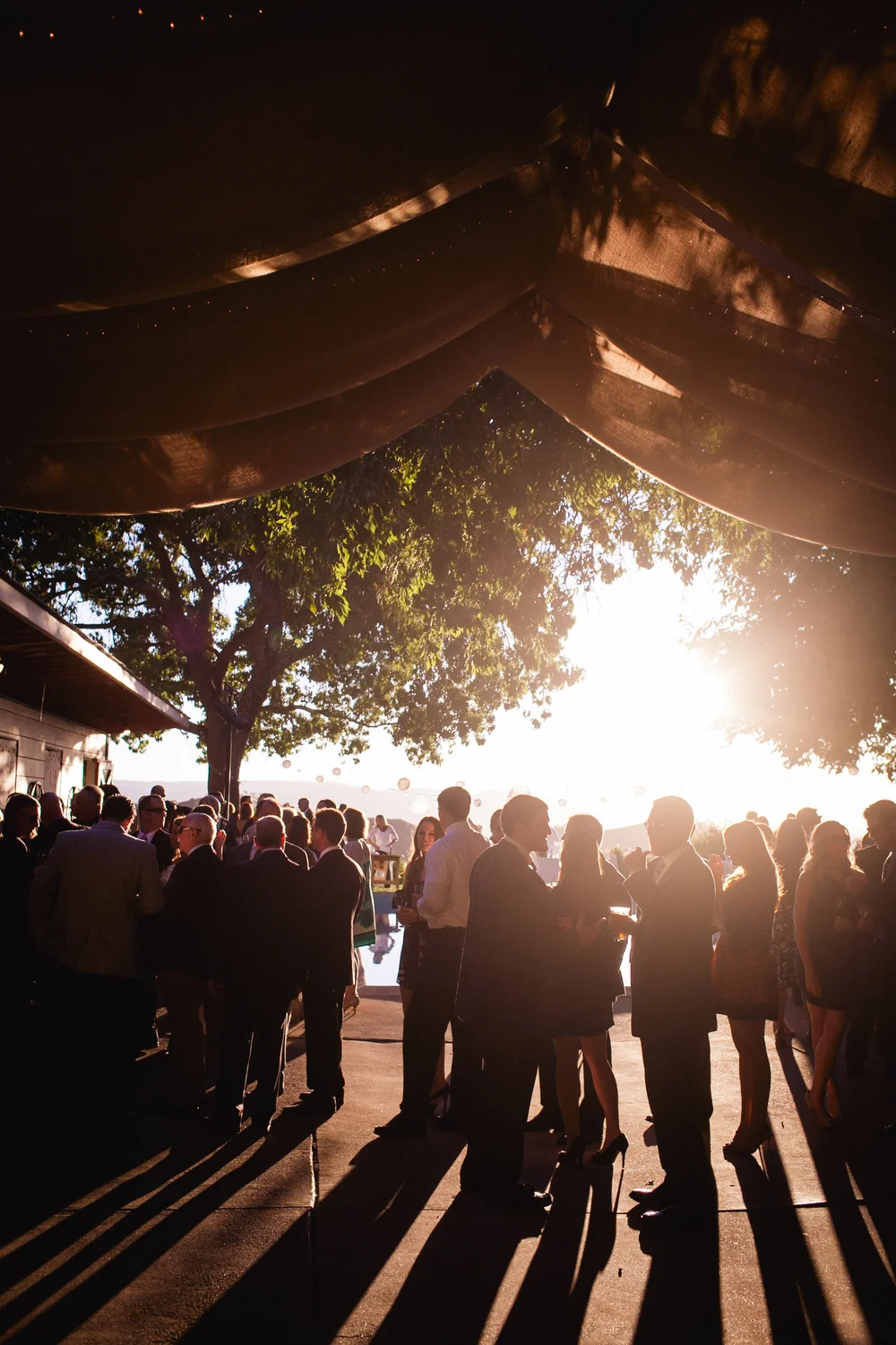 Romantic Diablo Valley Ranch DIY Tree Swing Wedding. Photographed by Rob Skog
