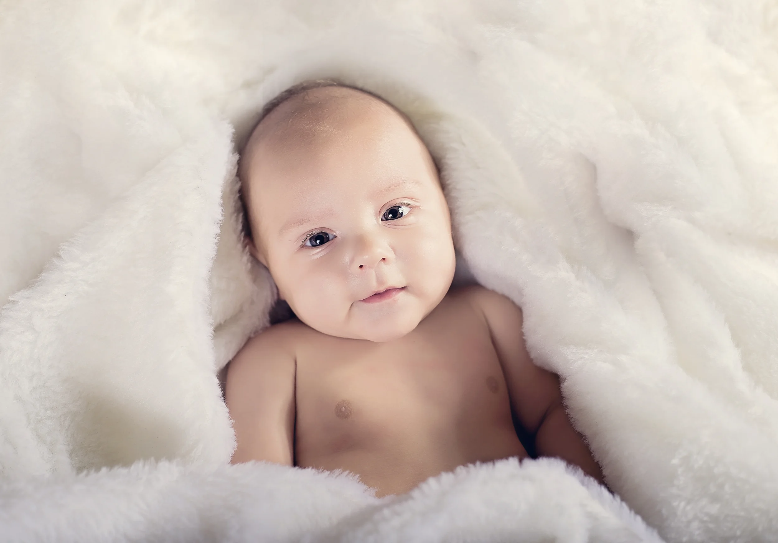 kristi schultz photography muskegon michigan photographer