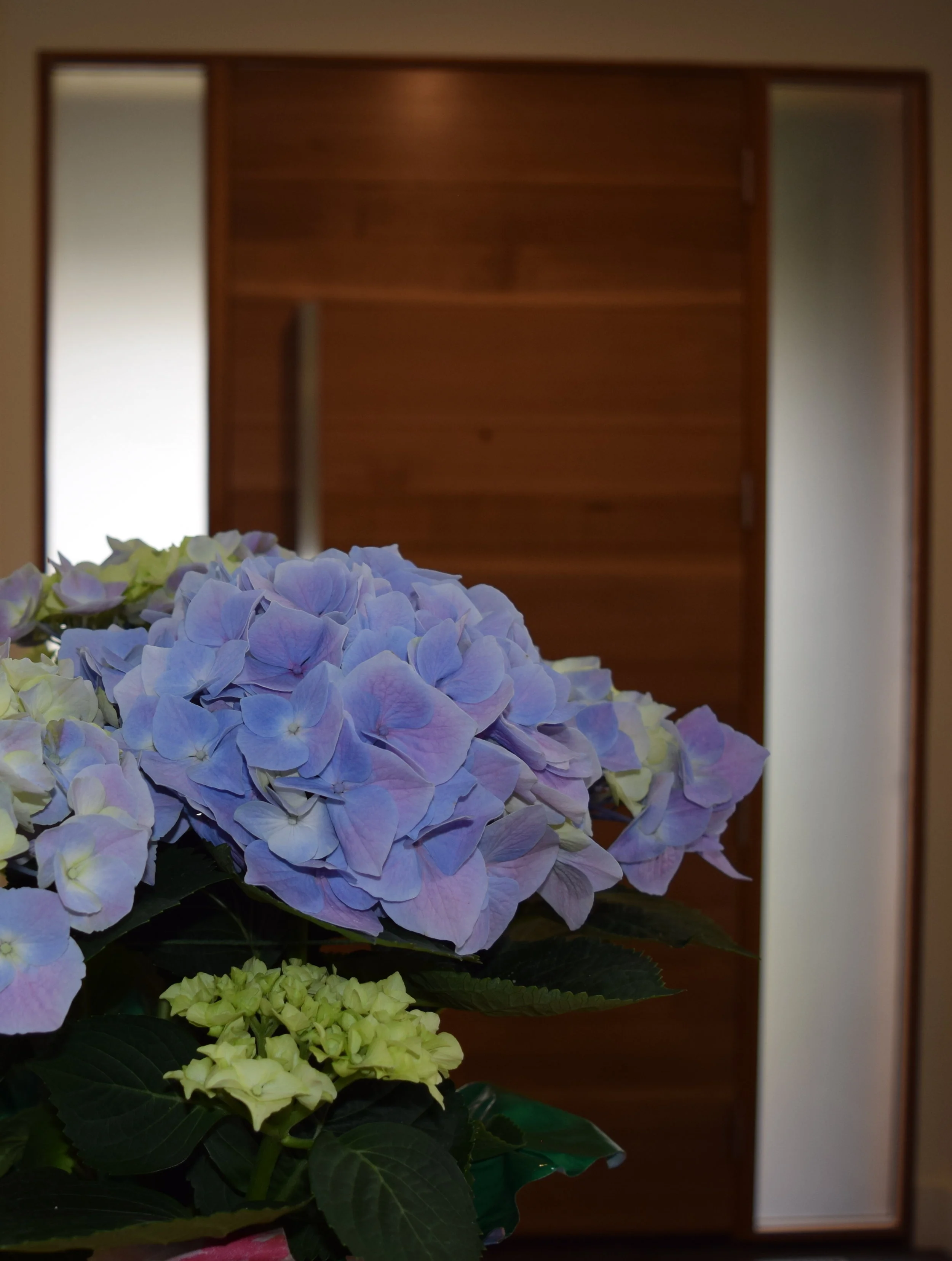 DSC_0390_Cropped.JPG