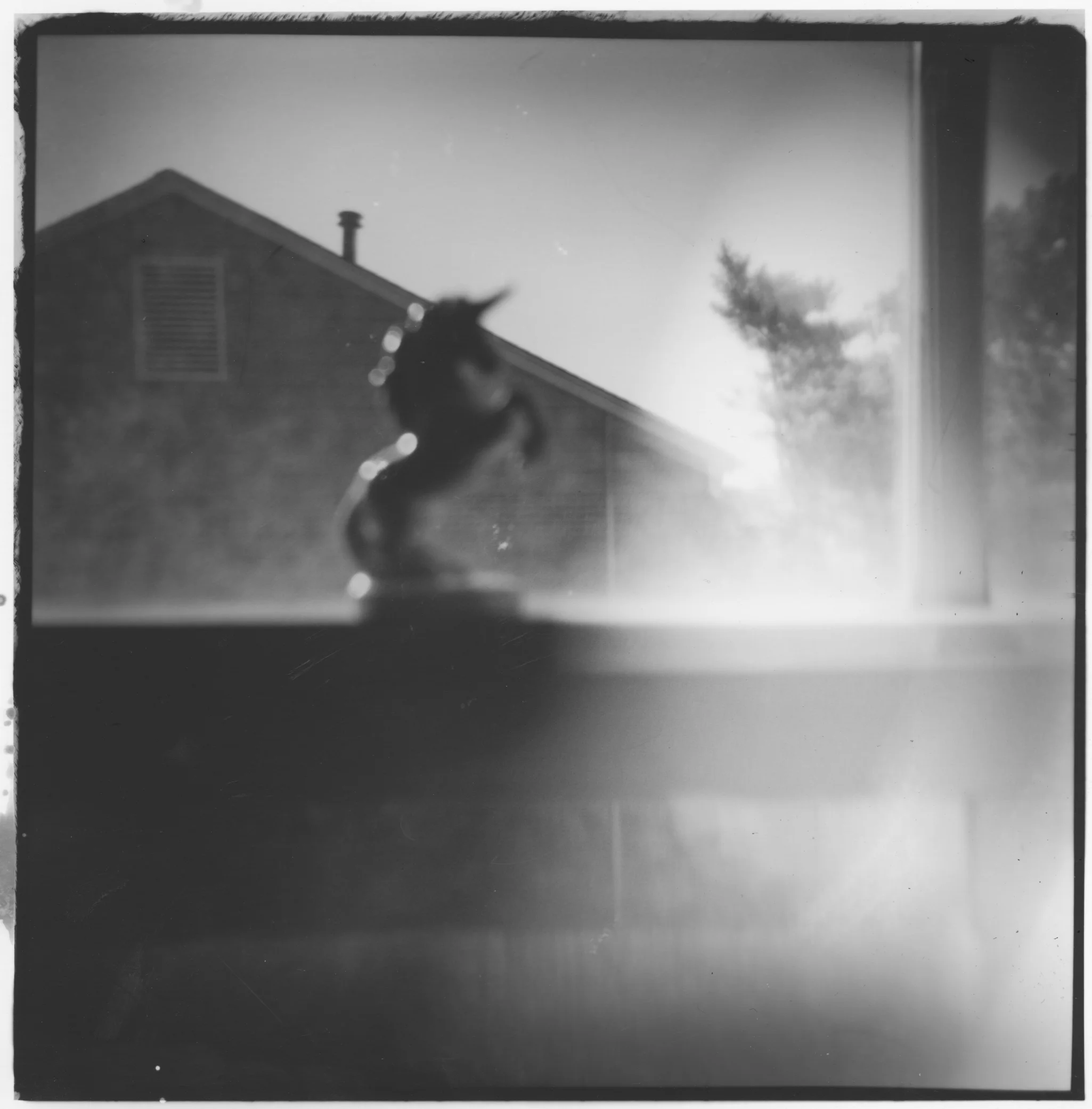 Medium Format 02.jpeg