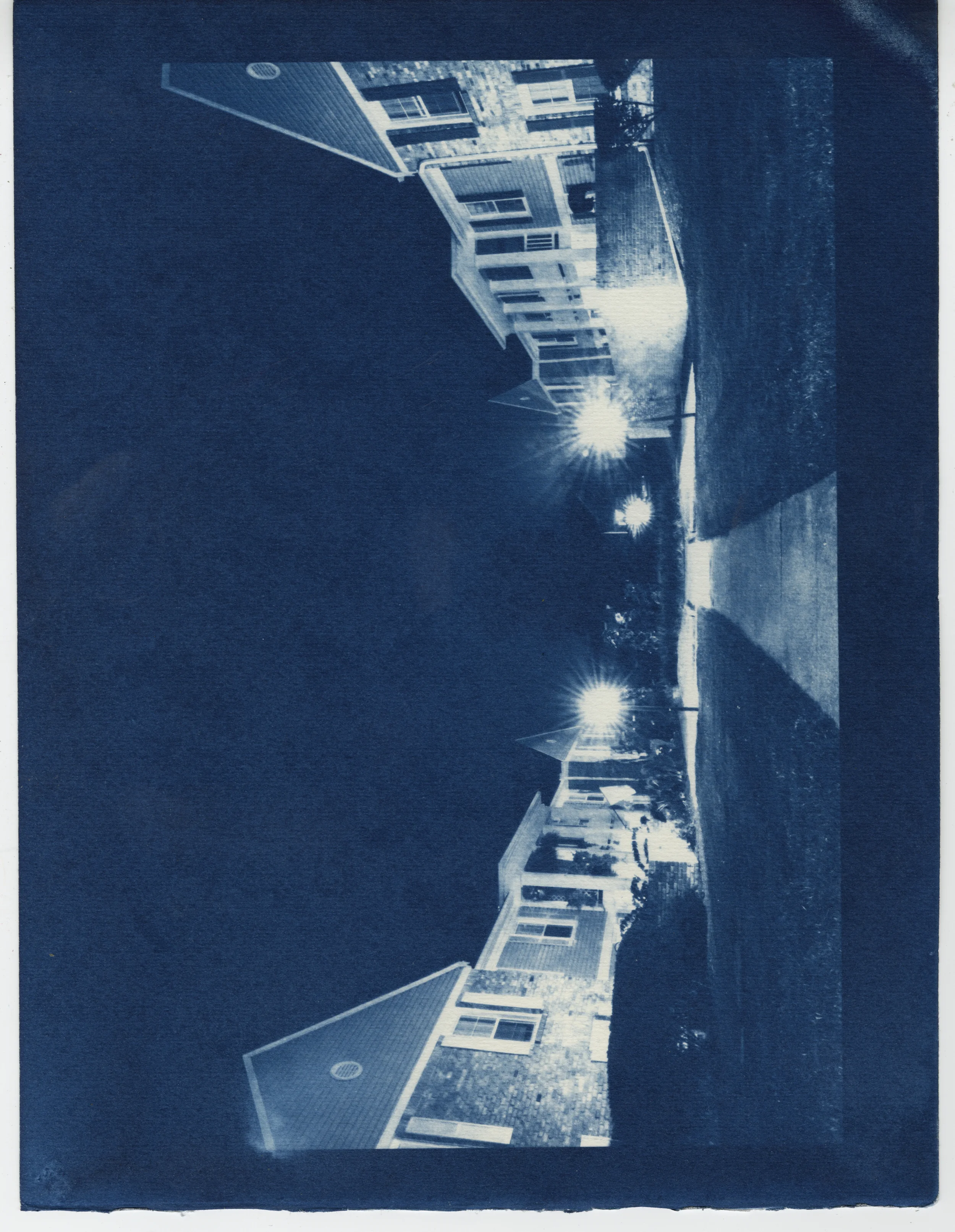 Cyanotype 03.jpeg