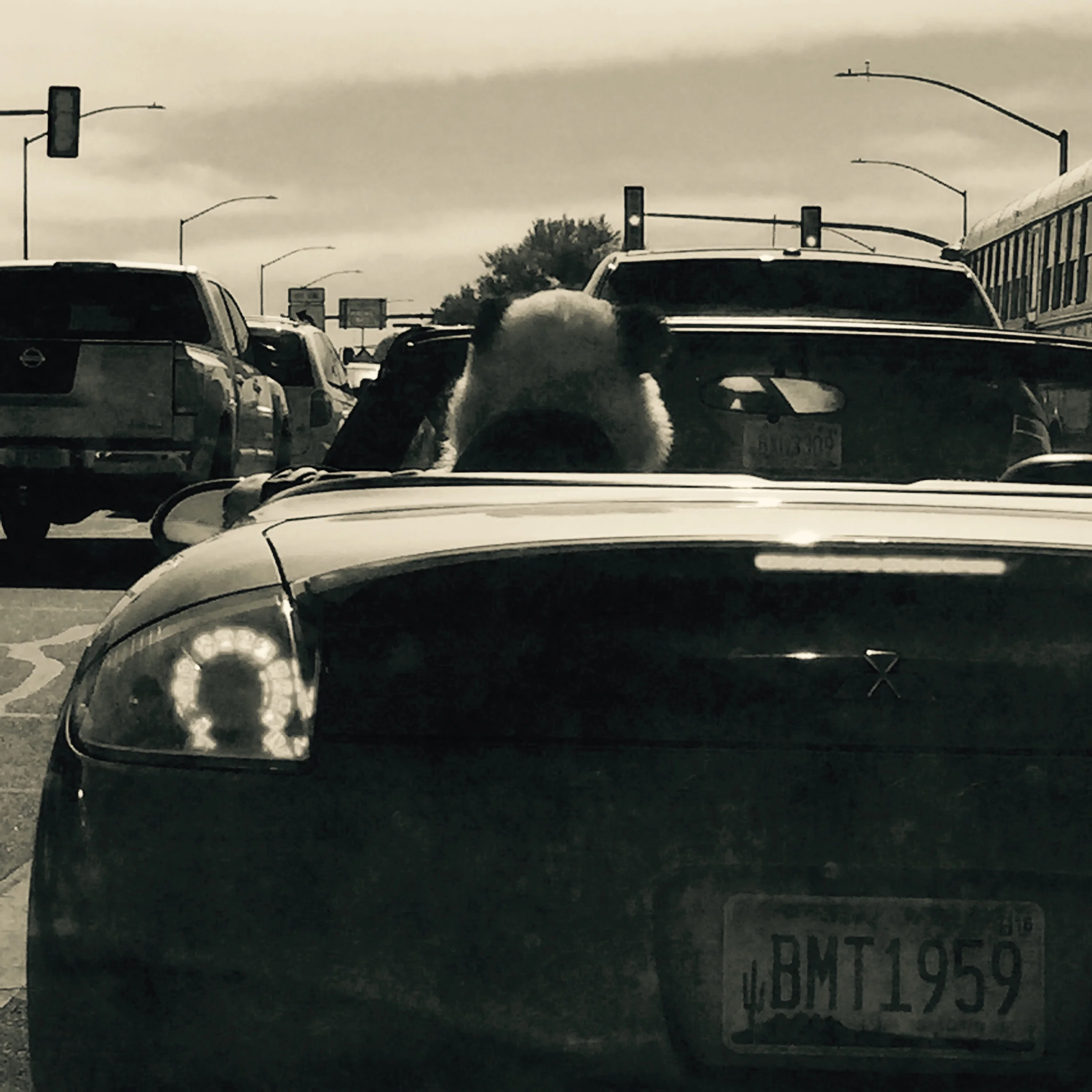 Disorienting the Essay: Finding Form in Personal Nonfiction