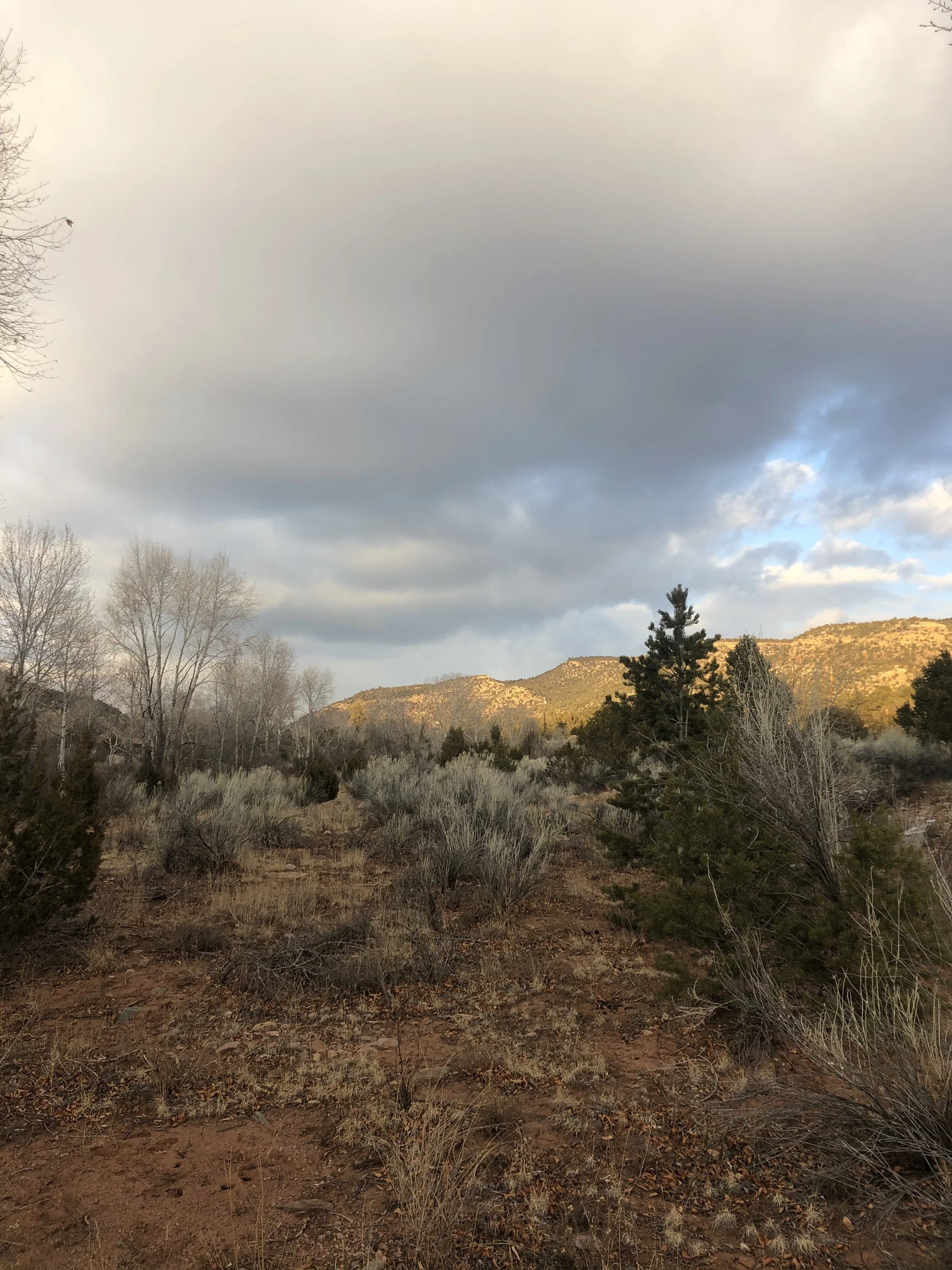 The Wild &amp; Holy Moment: Thyrsus Office Hours on Writing Trauma, Illness, &amp; Sexuality (CANCELLED)