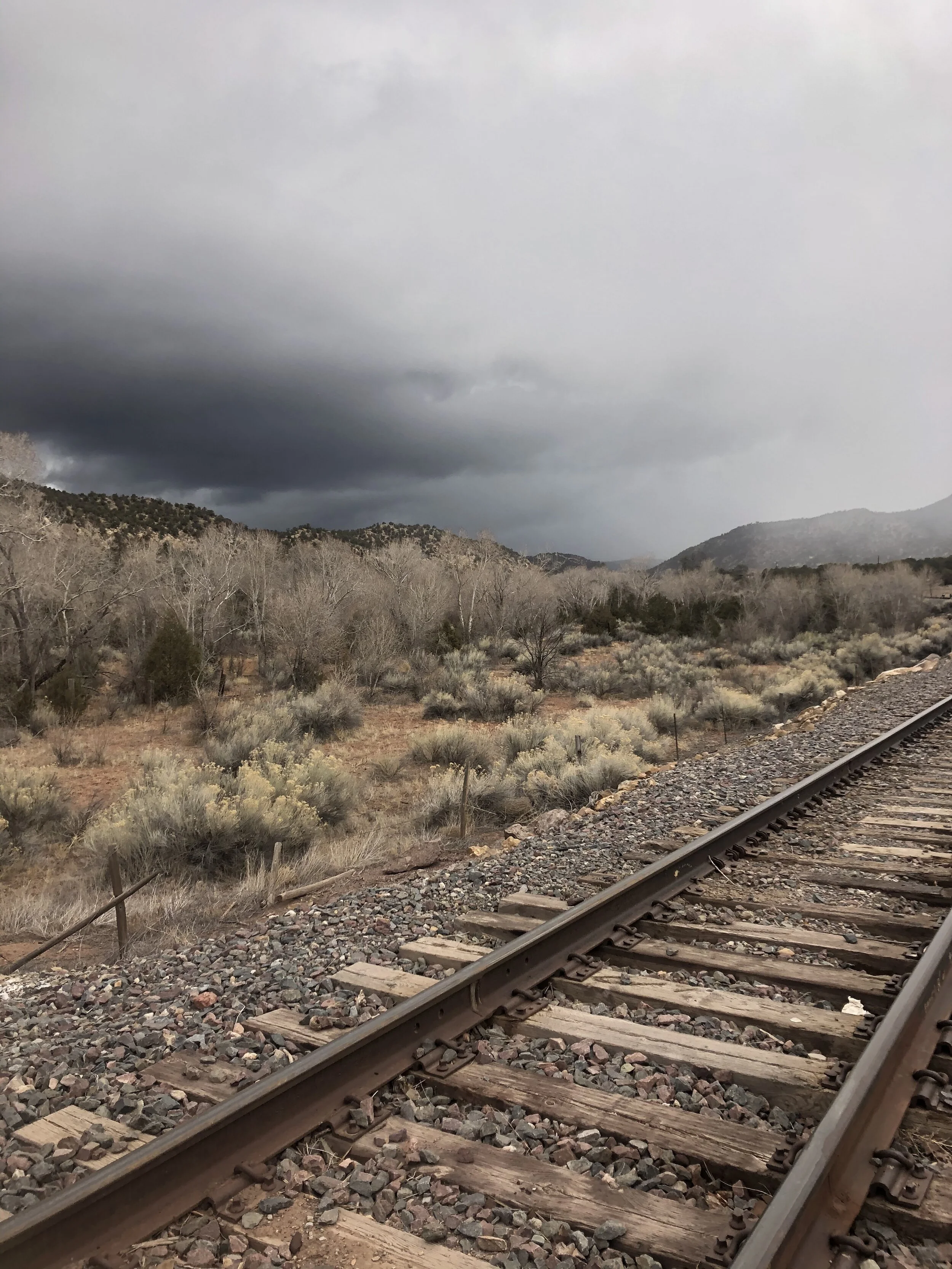 The Pandemic Reckoning (virtual)