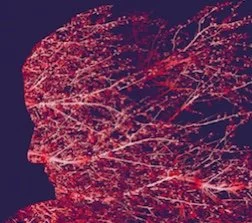 Reading: The Valley Bookstore in Jackson, Wyoming