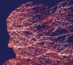 Signing: Off the Beaten Path Bookstore in Steamboat Springs, CO