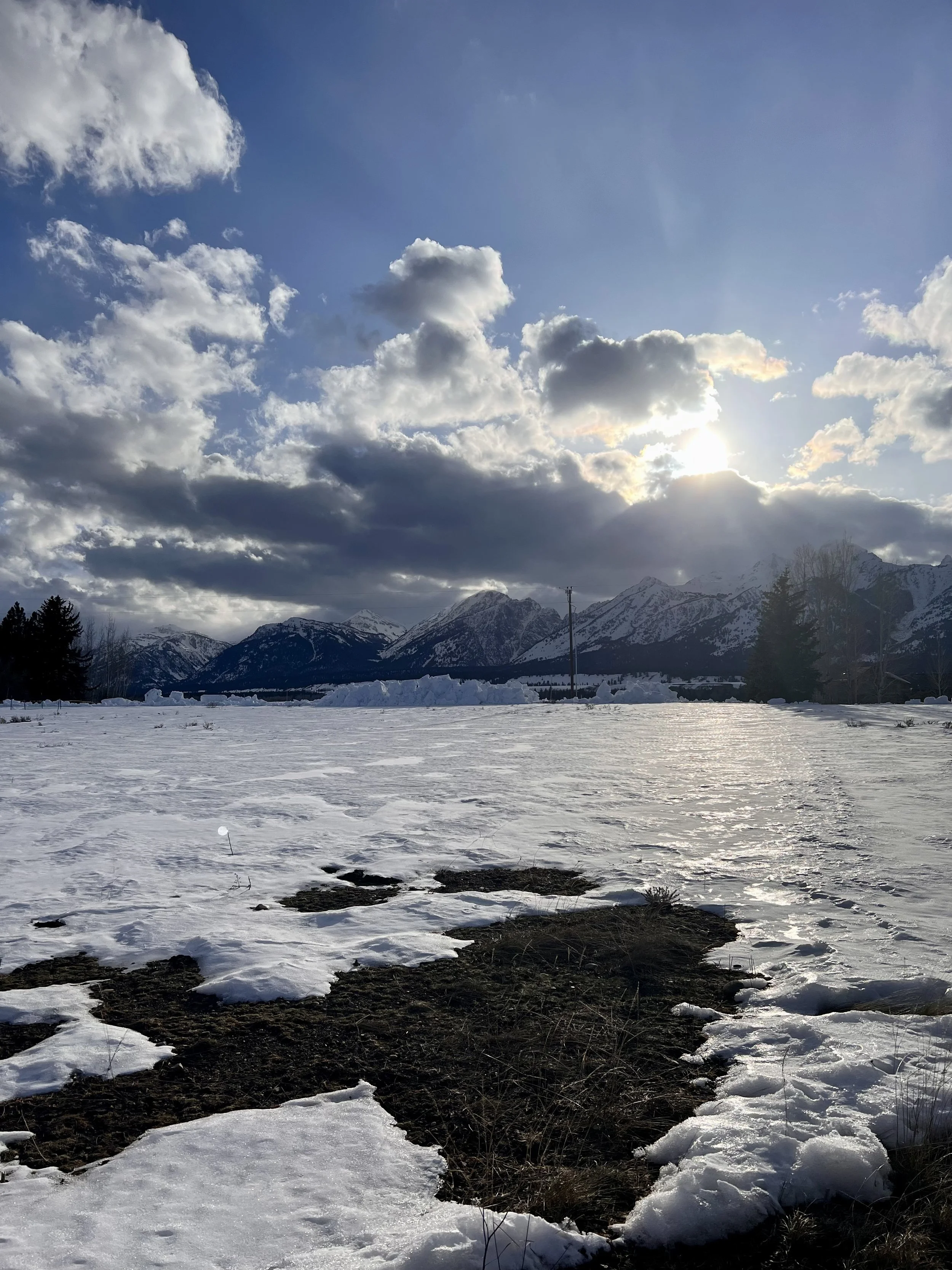 Writing Trauma Without Breaking Yourself (virtual)