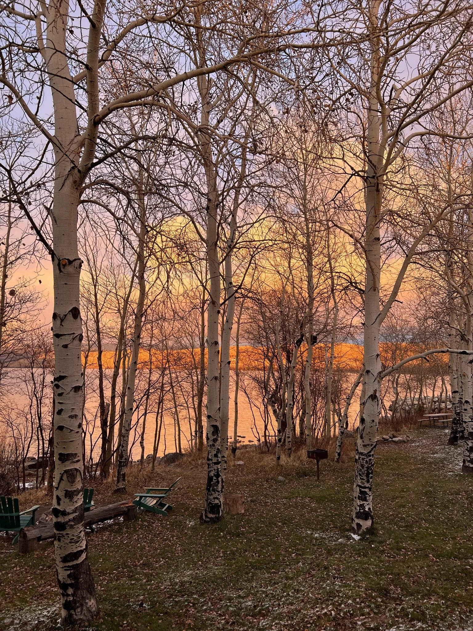 Getting Un-Stuck on Your Memoir (virtual)