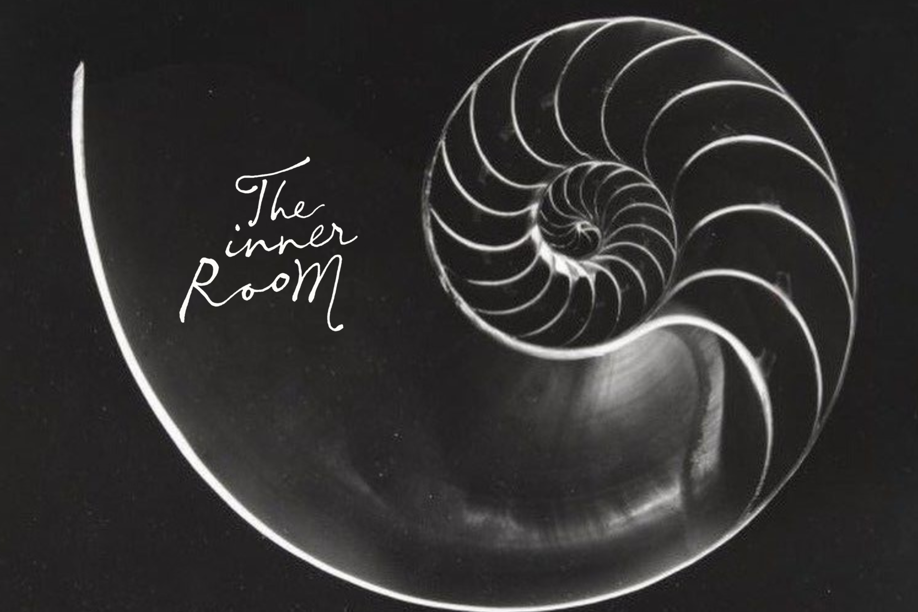 Wobble, Swirl, Silence, Scream: Using Syntax to Express Mental Health States via The Inner Room (virtual)