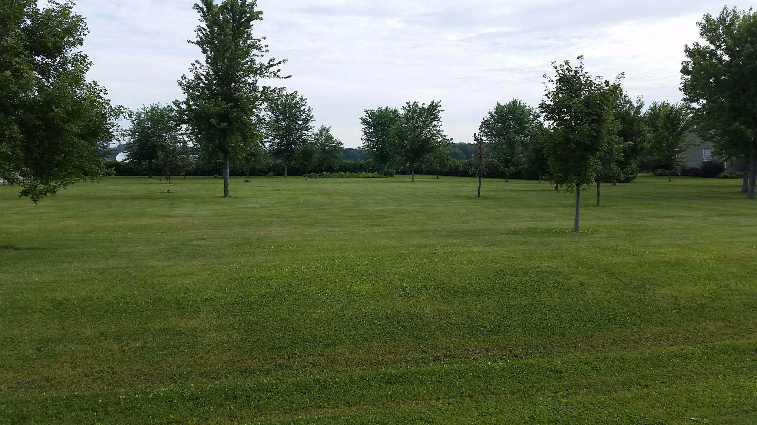 Site Layout
