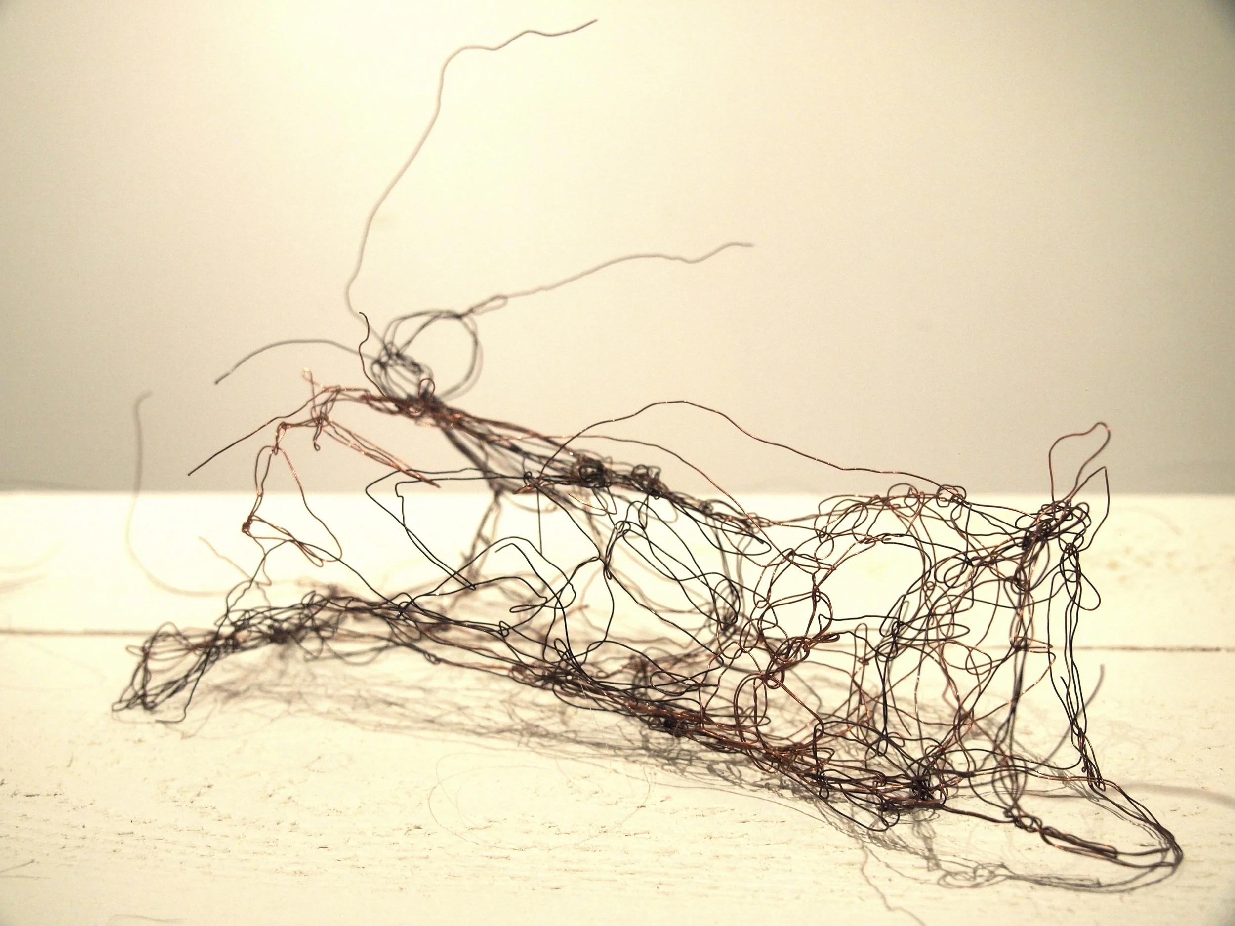 P3104153.jpg