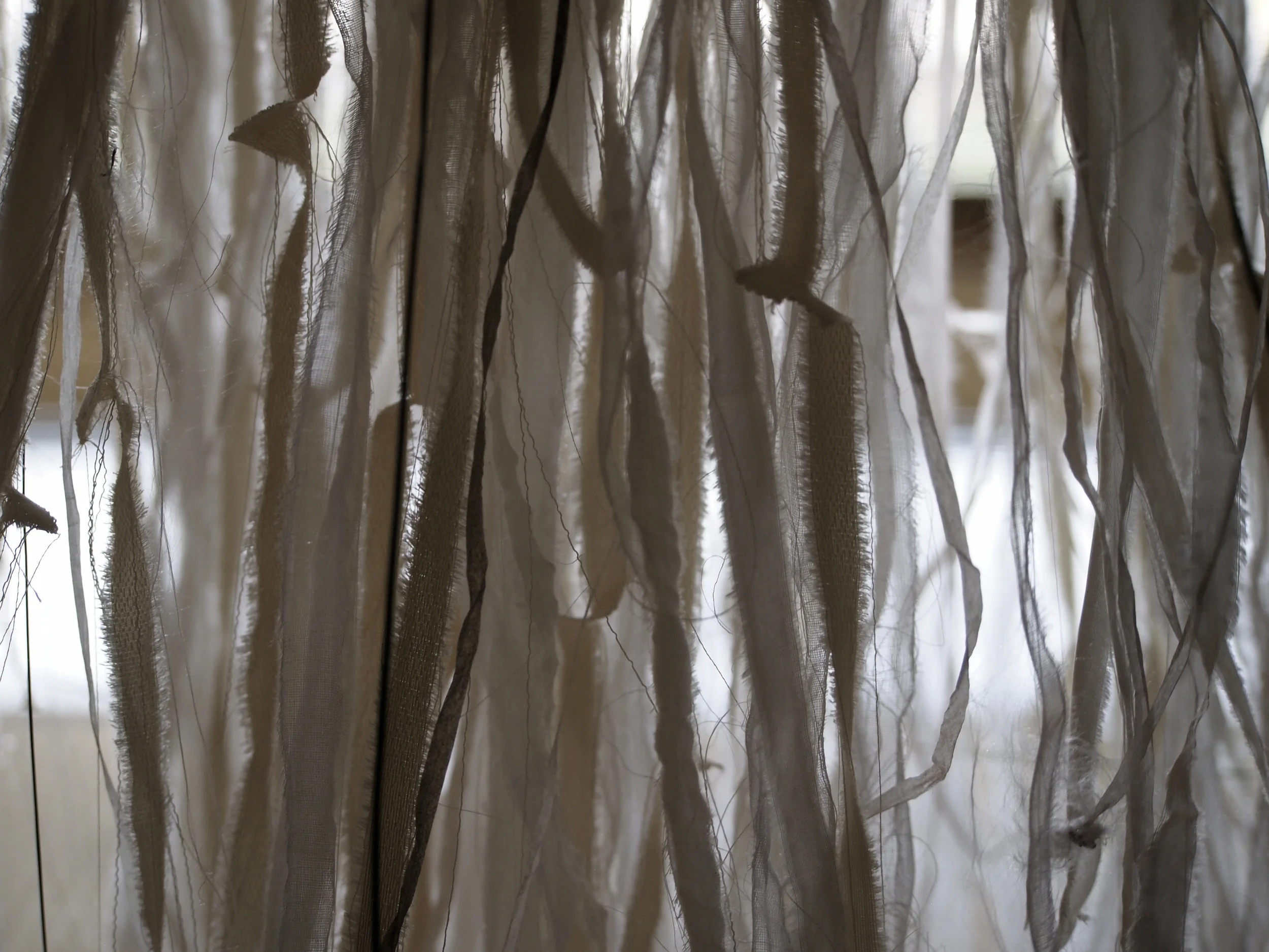 PA038297.jpg