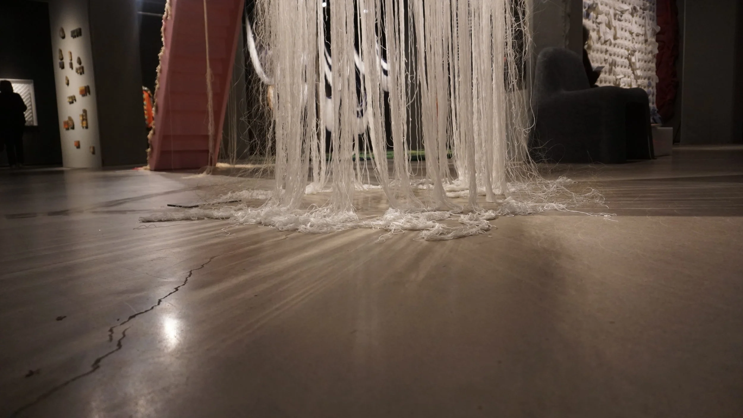 DSC05244.jpg