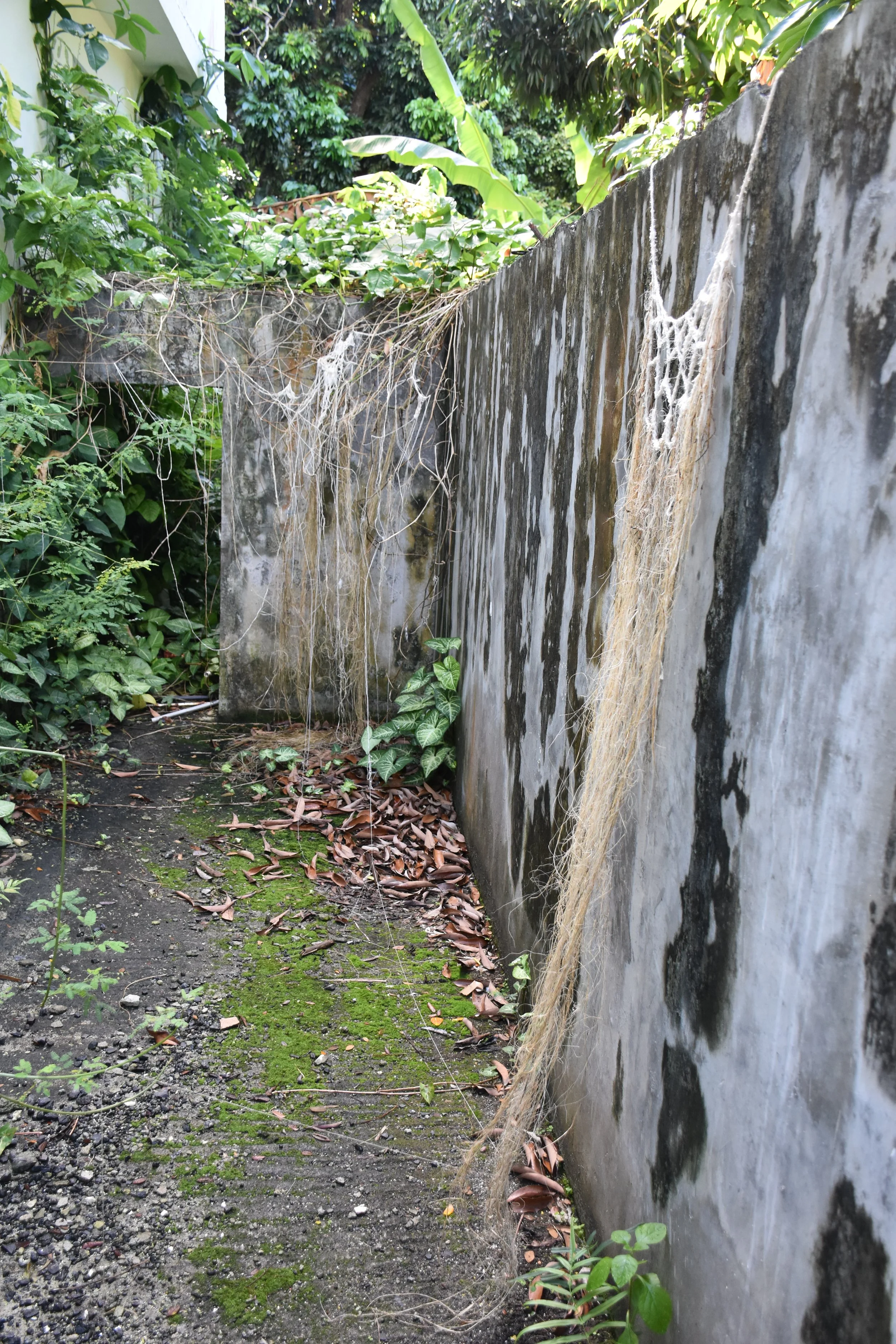 DSC_6013.JPG