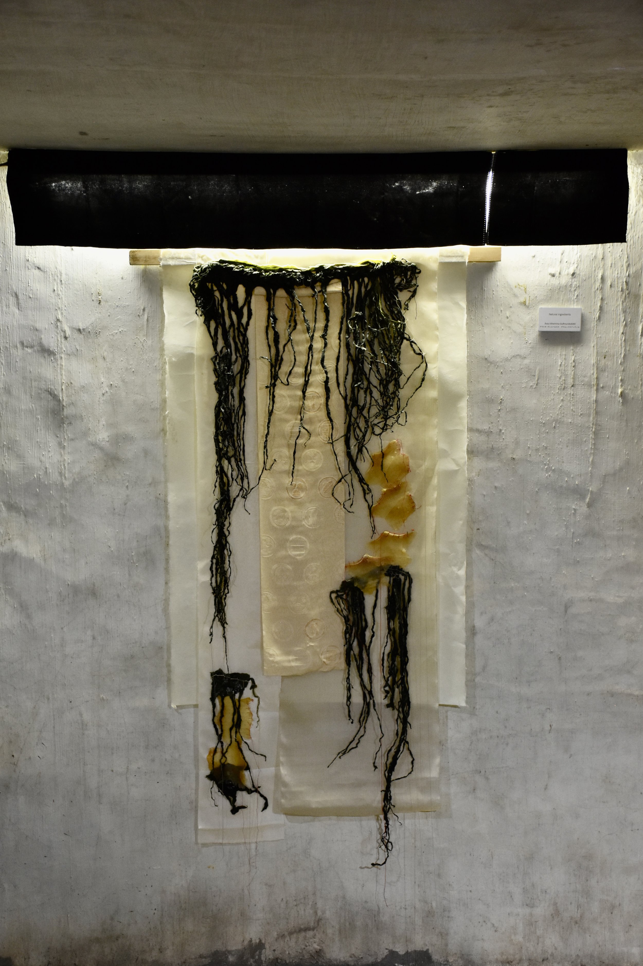 2024-09-25 15.13.42.jpg