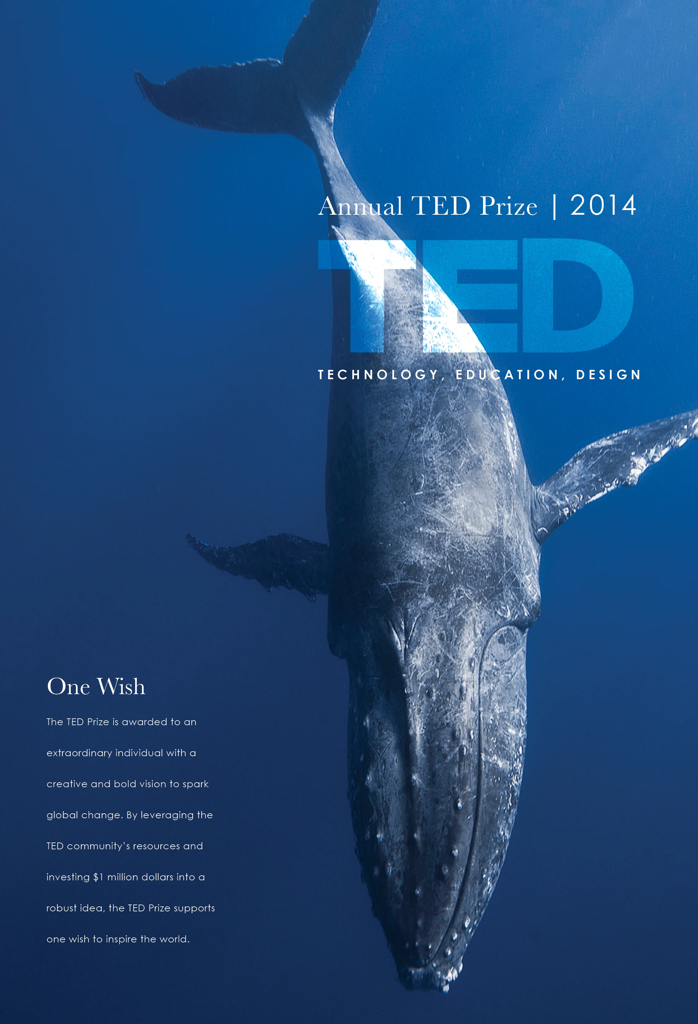 TED Project Cover.jpg