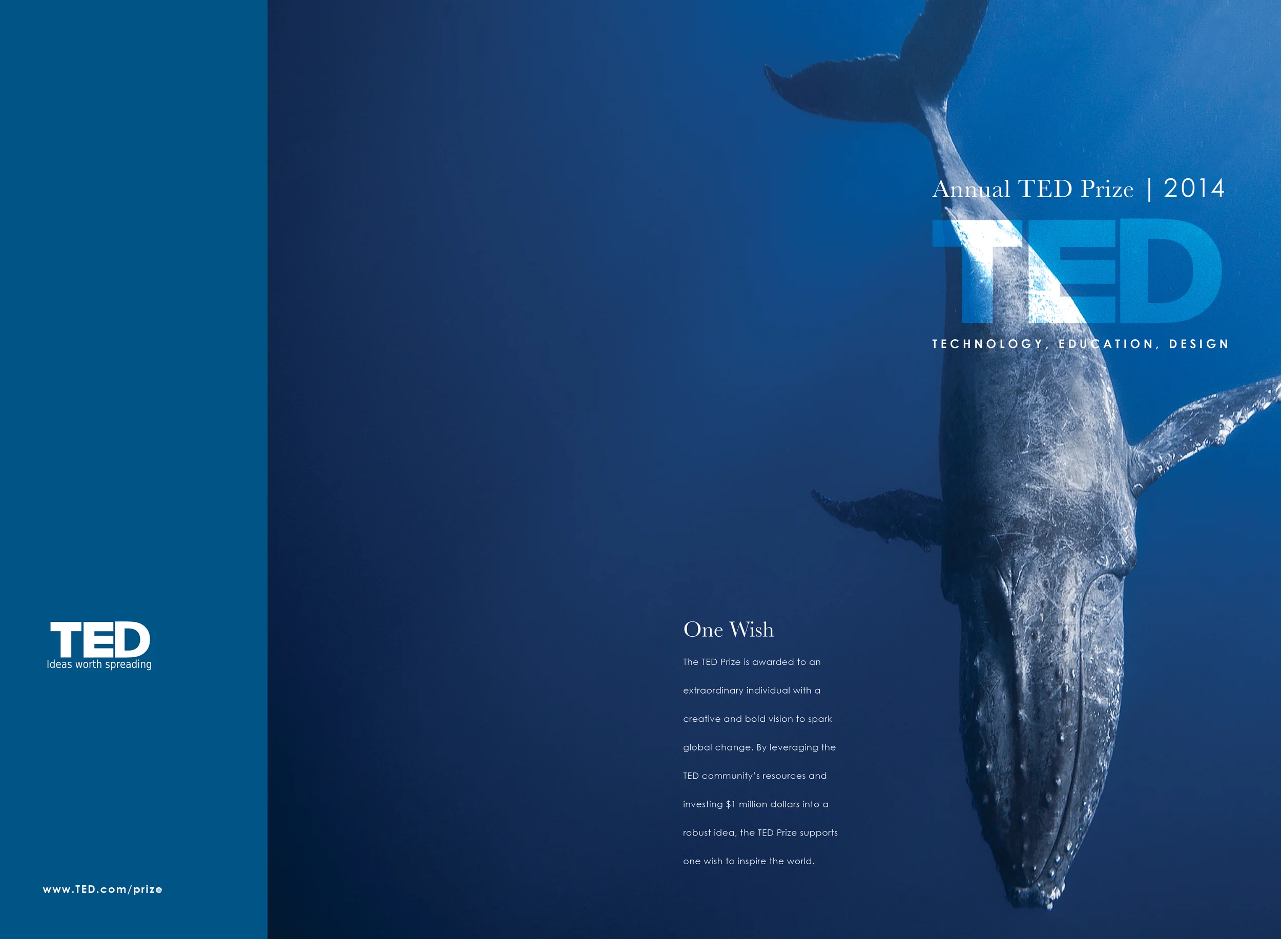 TED Project.jpg