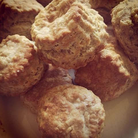 Biscuits.jpg