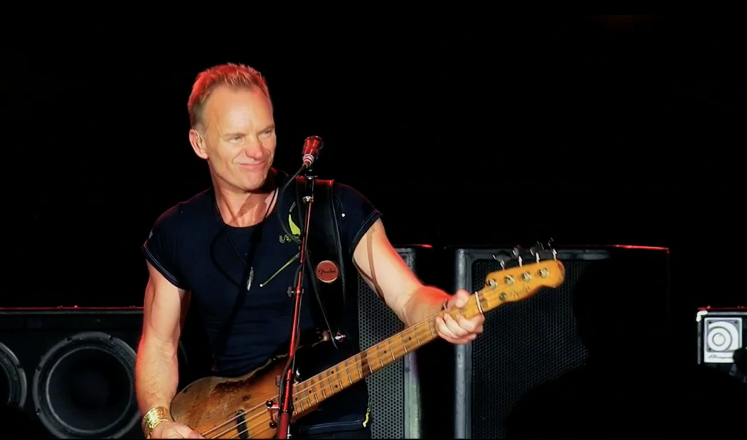 Sting on Stage.png