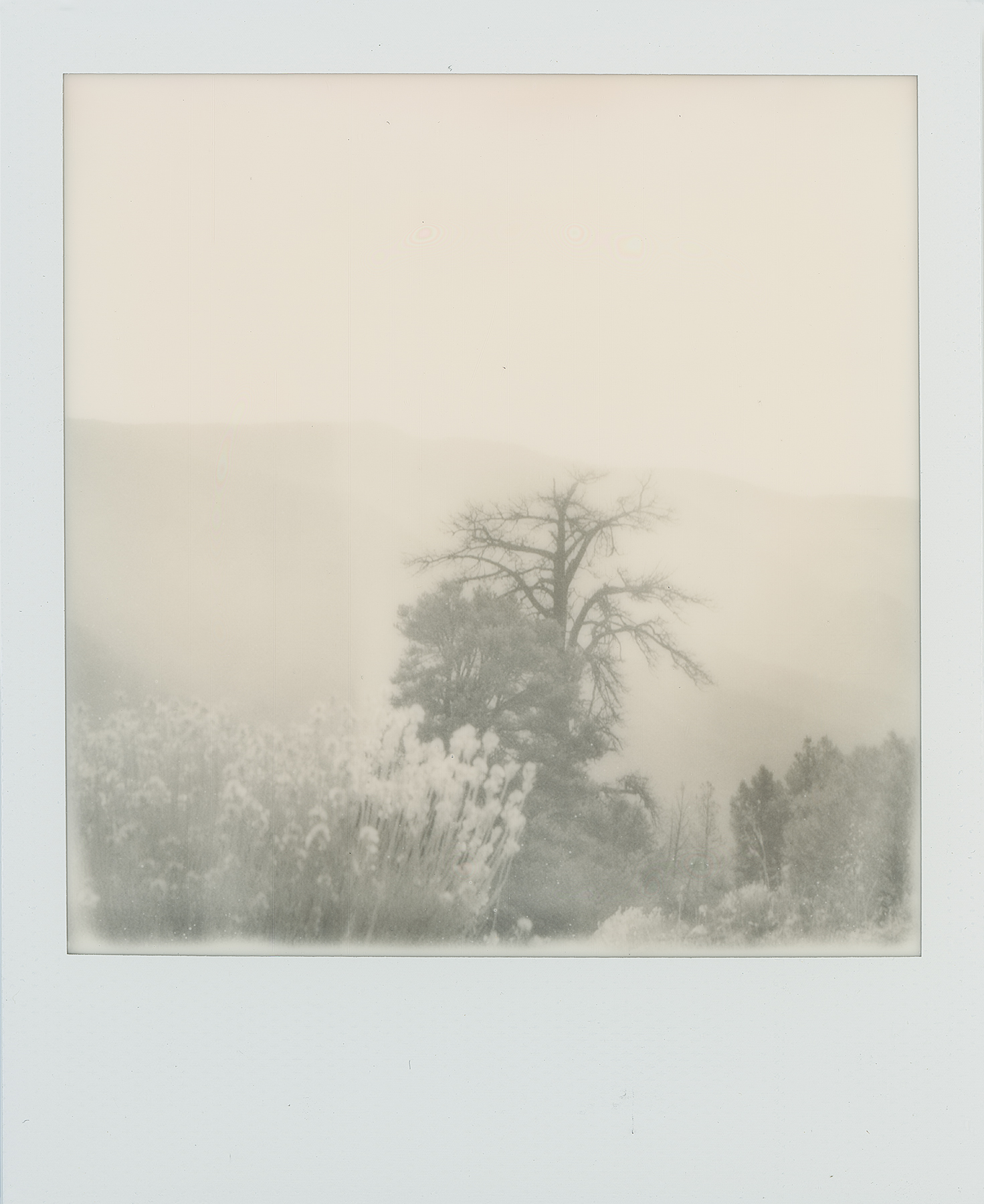 2017.06.14.069 copy.jpg