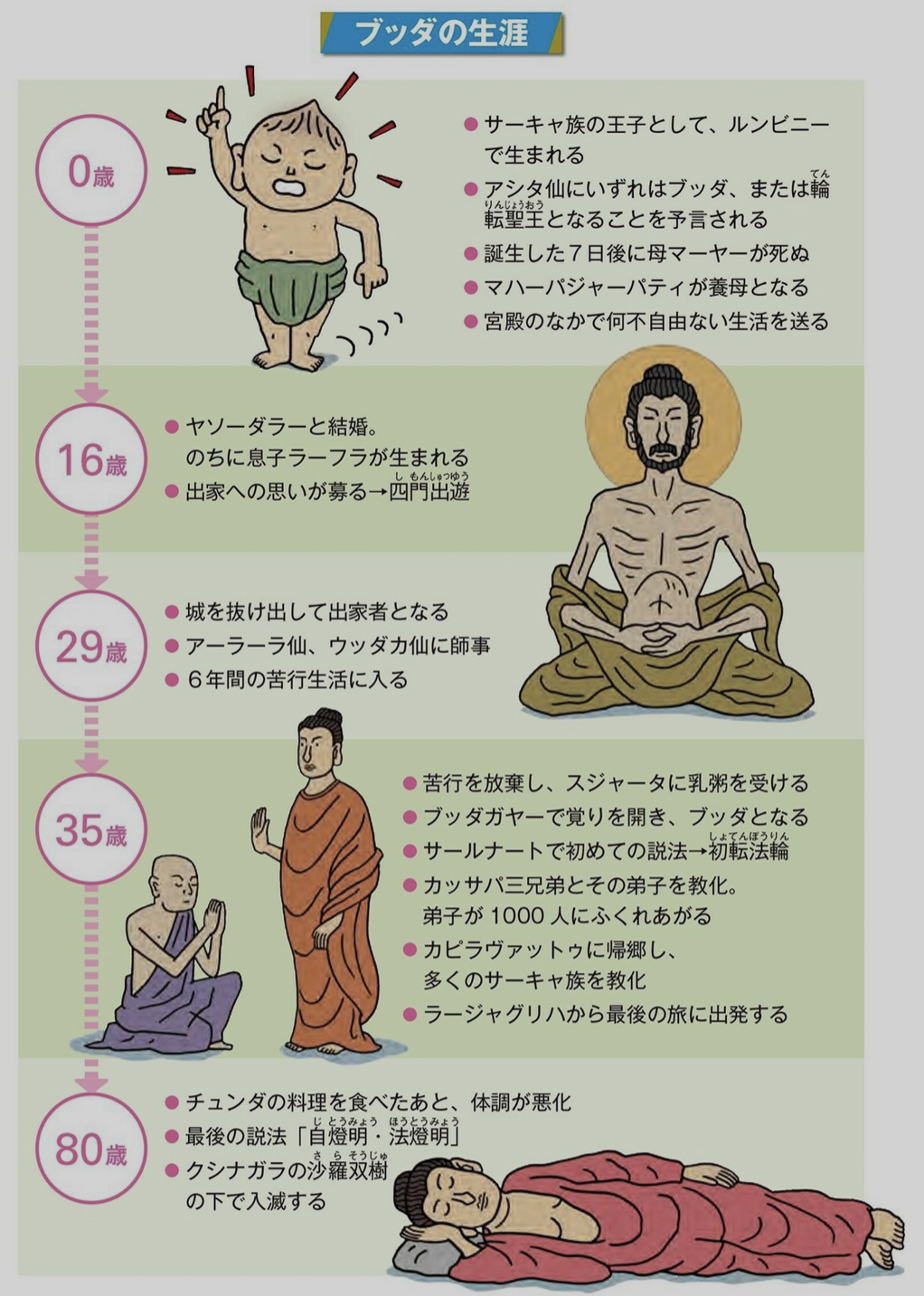 ブッダの生涯.jpeg