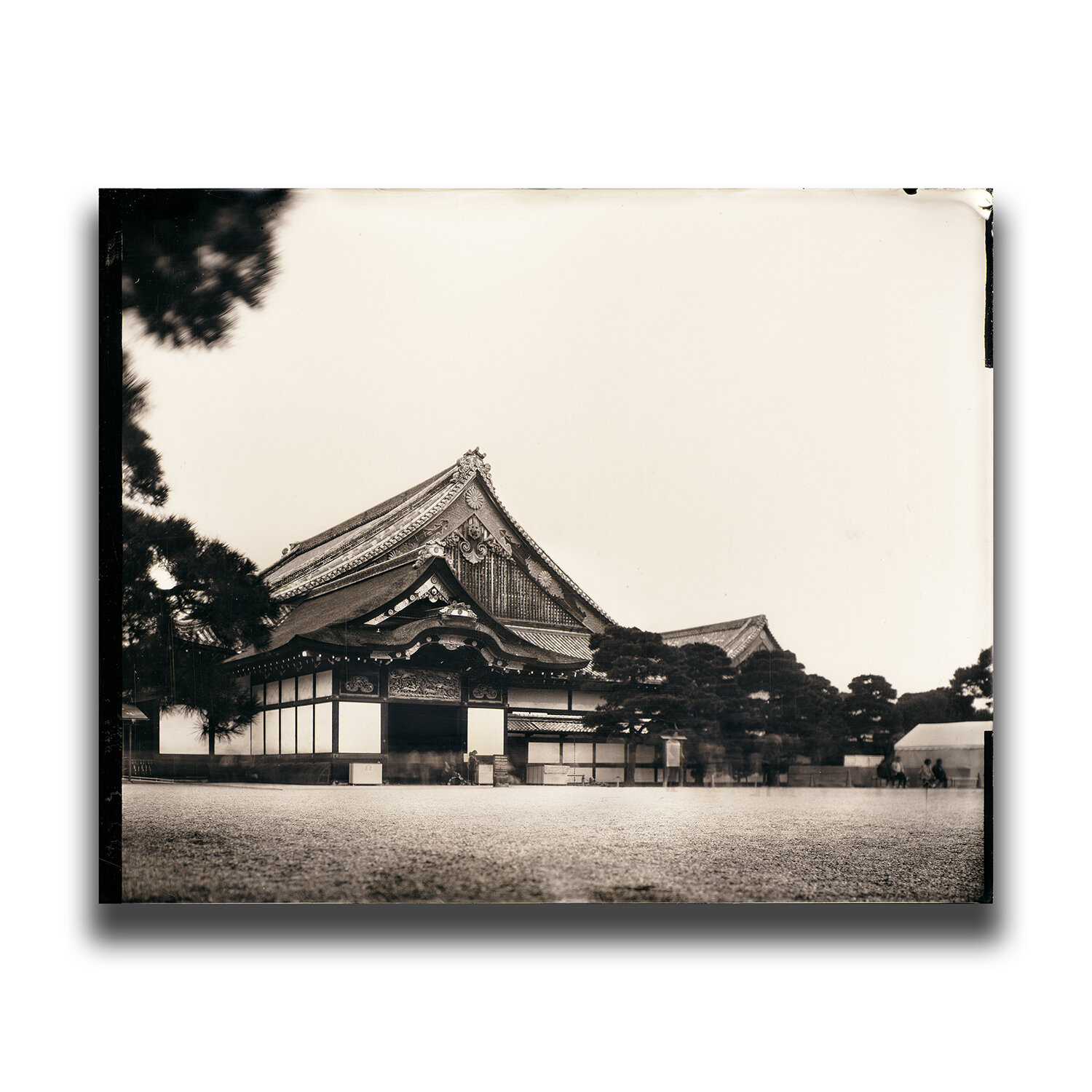 -Nijō Castle, Kyoto/京都・二条城/ 교토・니조 성/京都・二条城
