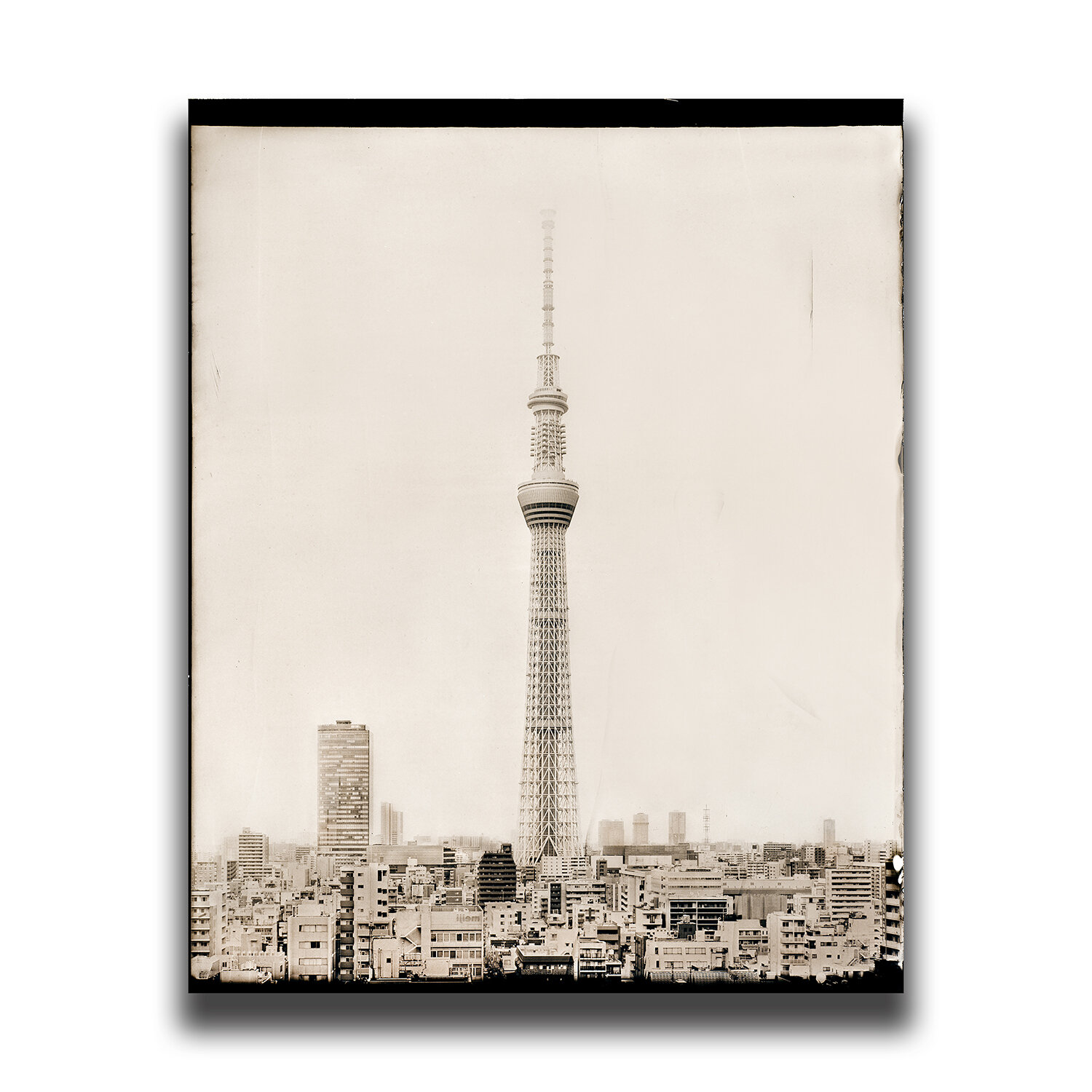 Tokyo Skytree/#東京スカイツリー/도쿄 스카이트리/東京晴空塔