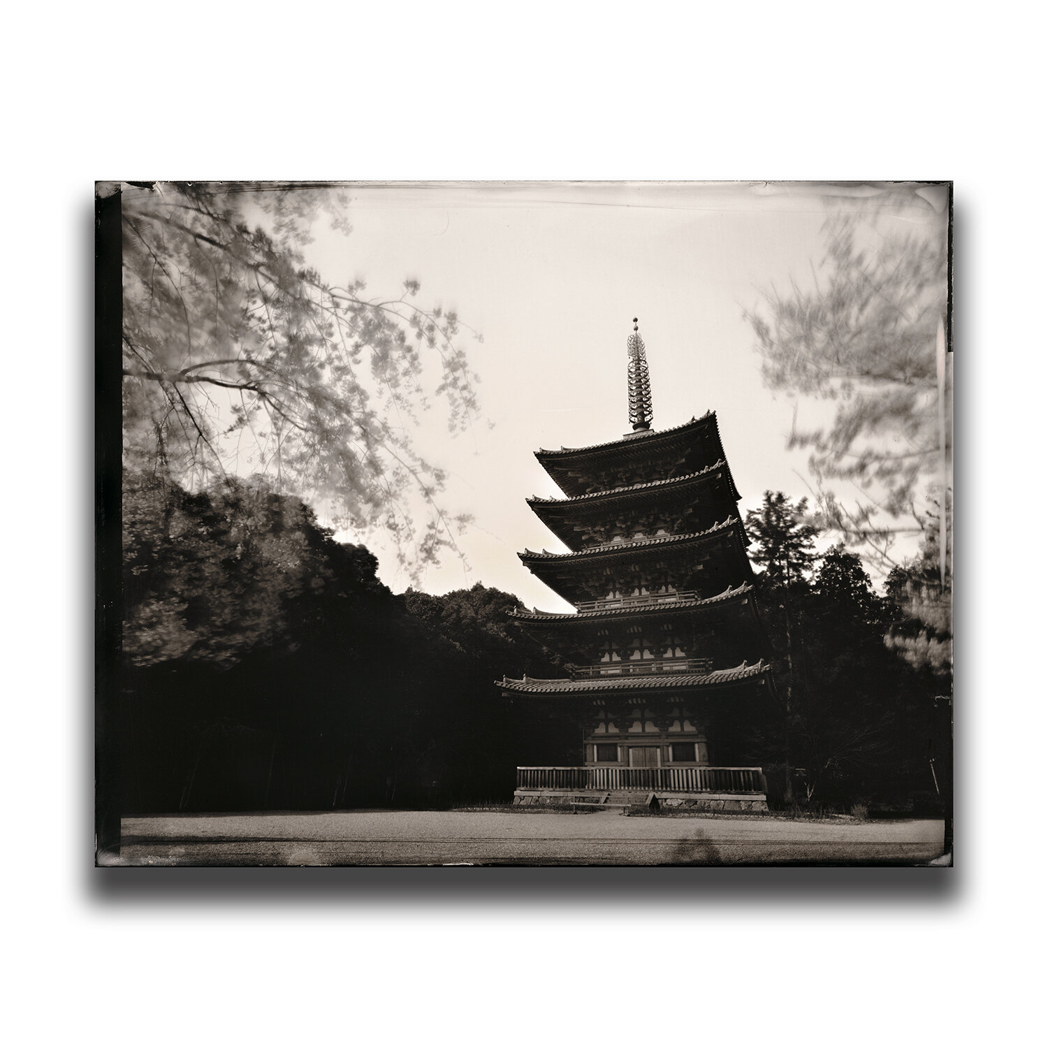 Kyoto・Daigo-ji(Temple)・The Five-storied　Pagoda/京都・醍醐寺・五重塔桜/교토・다이고사・5층탑/京都・醍醐寺・五重塔