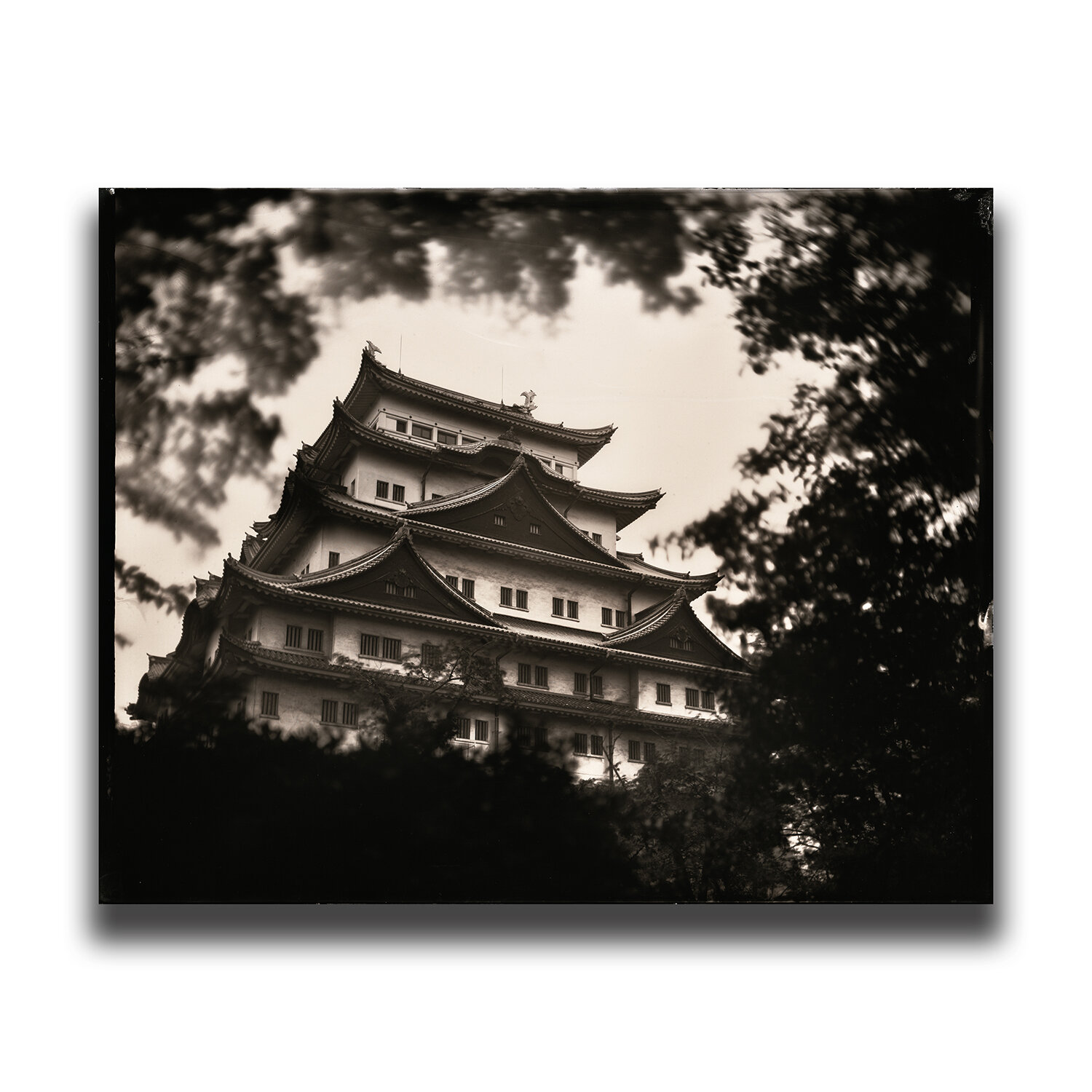 Nagoya・Nagoya Castle/名古屋・名古屋城/나고야・나고야 성/名古屋・名古屋城