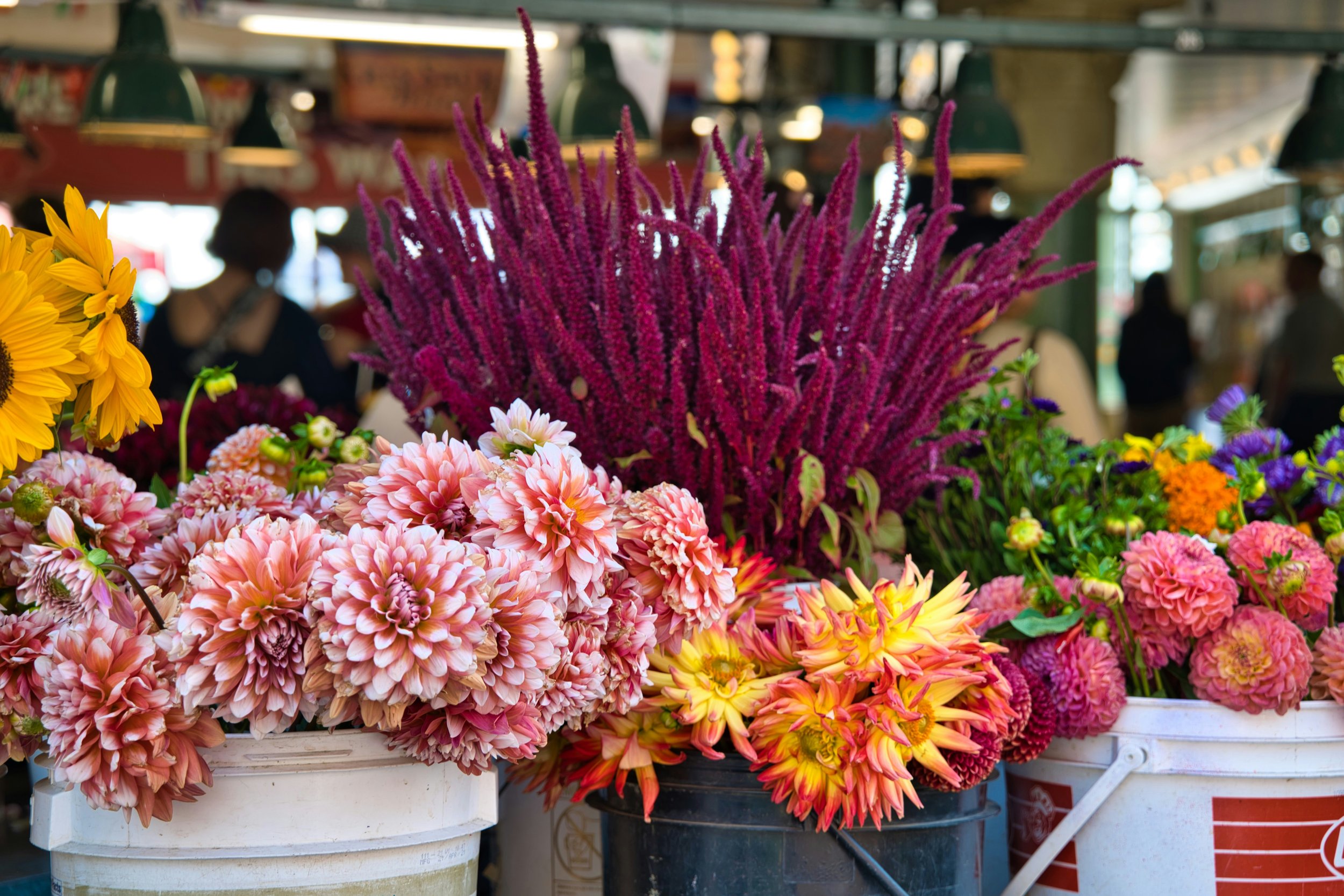 Wrightsville Beach Farmers Market 