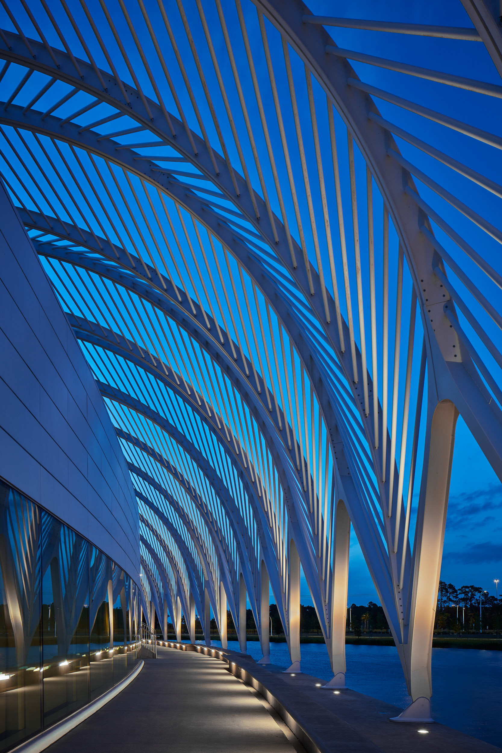  SANTIAGO CALATRAVA - Florida Polytechnic University 