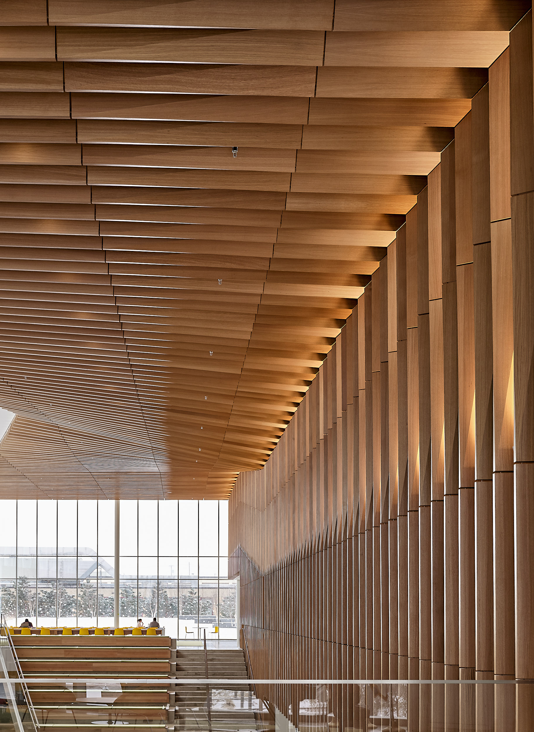 WEISS/MANFREDI - College of Veterinary Medicine, Cornell University