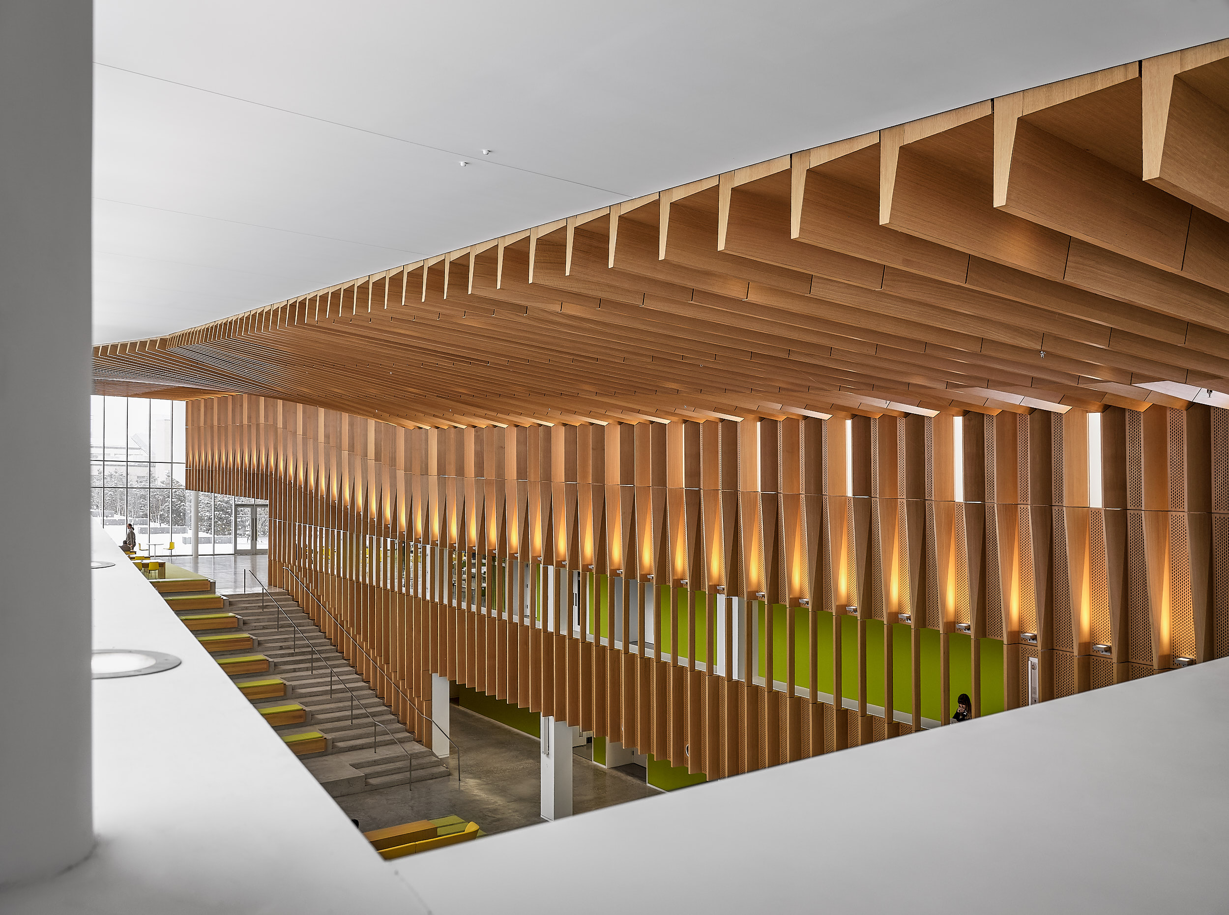WEISS/MANFREDI - College of Veterinary Medicine, Cornell University
