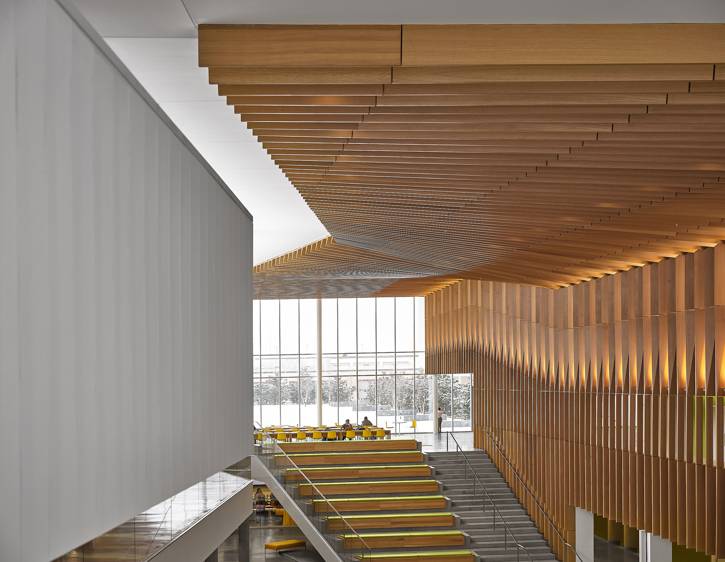 WEISS/MANFREDI - College of Veterinary Medicine, Cornell University