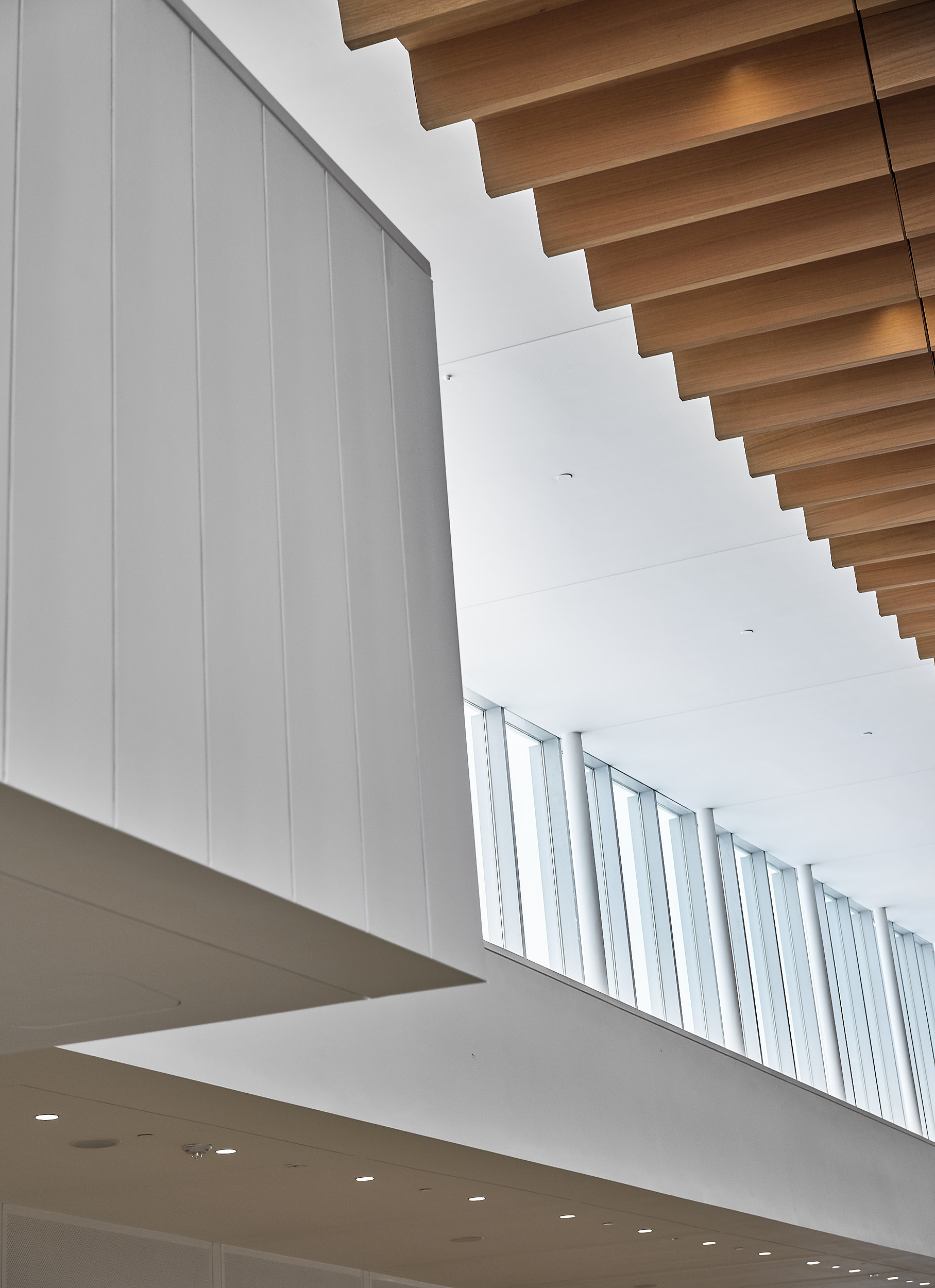 WEISS/MANFREDI - College of Veterinary Medicine, Cornell University