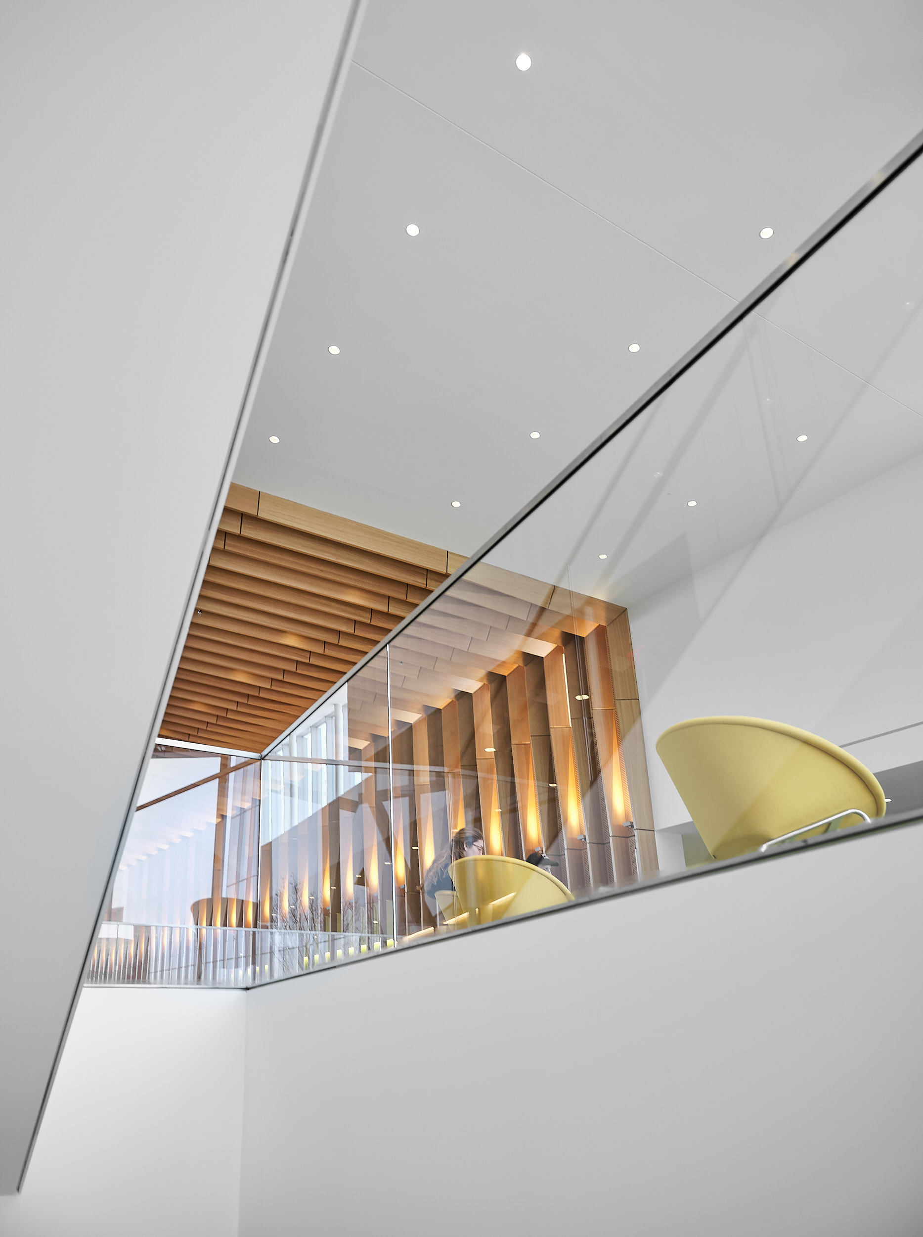 WEISS/MANFREDI - College of Veterinary Medicine, Cornell University
