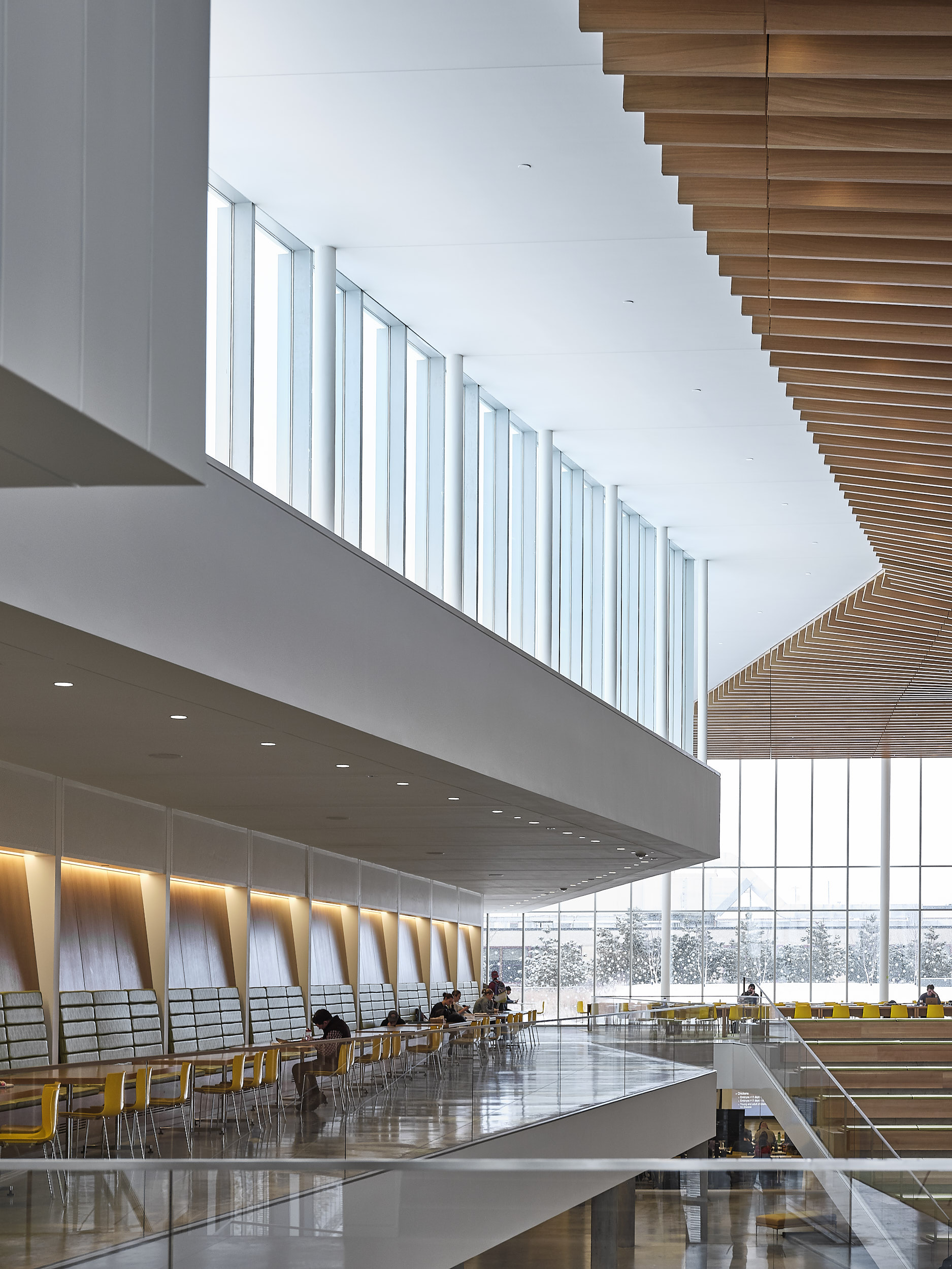 WEISS/MANFREDI - College of Veterinary Medicine, Cornell University
