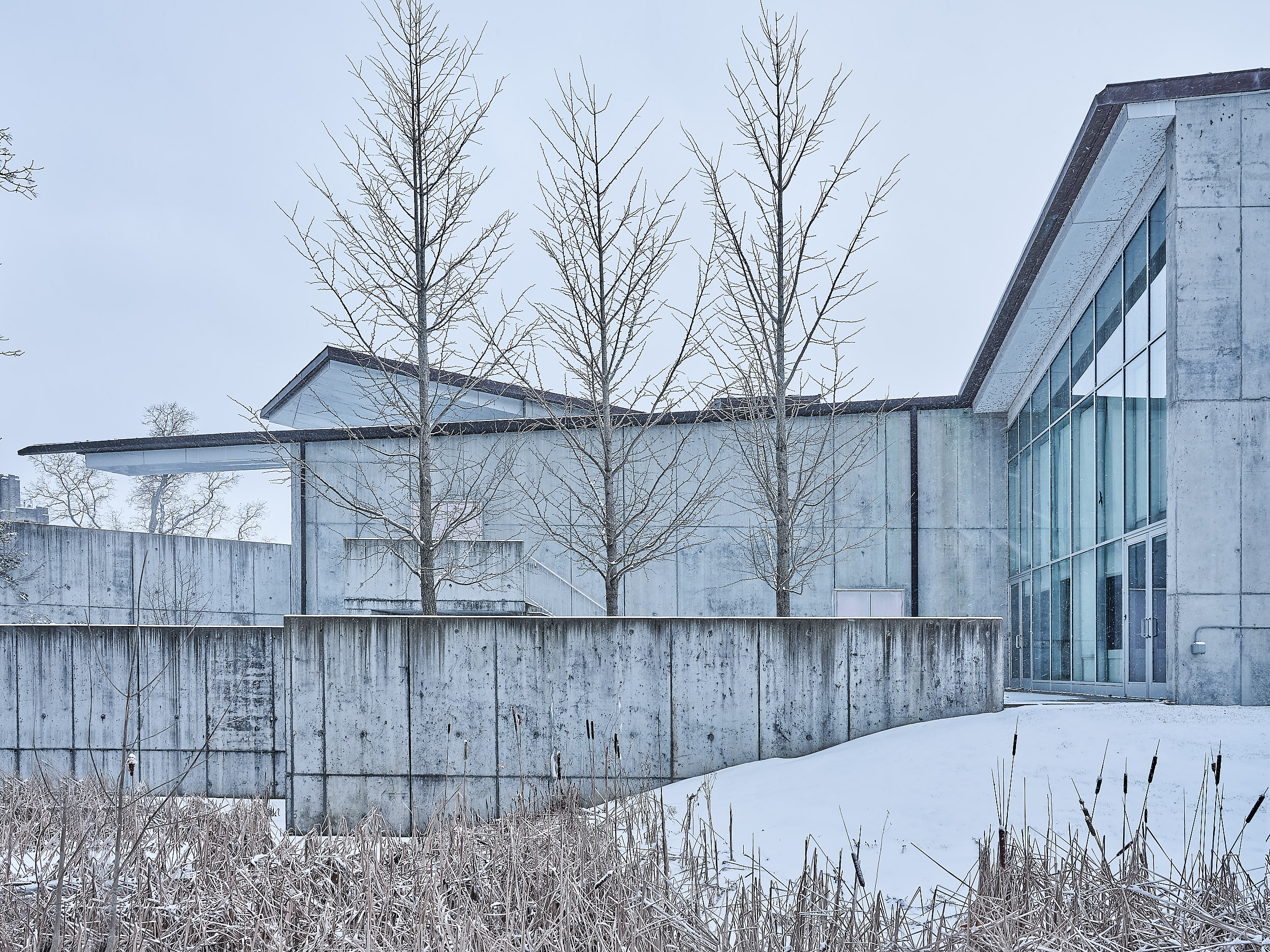 WEISS/MANFREDI - Museum of the Earth, Cornell University