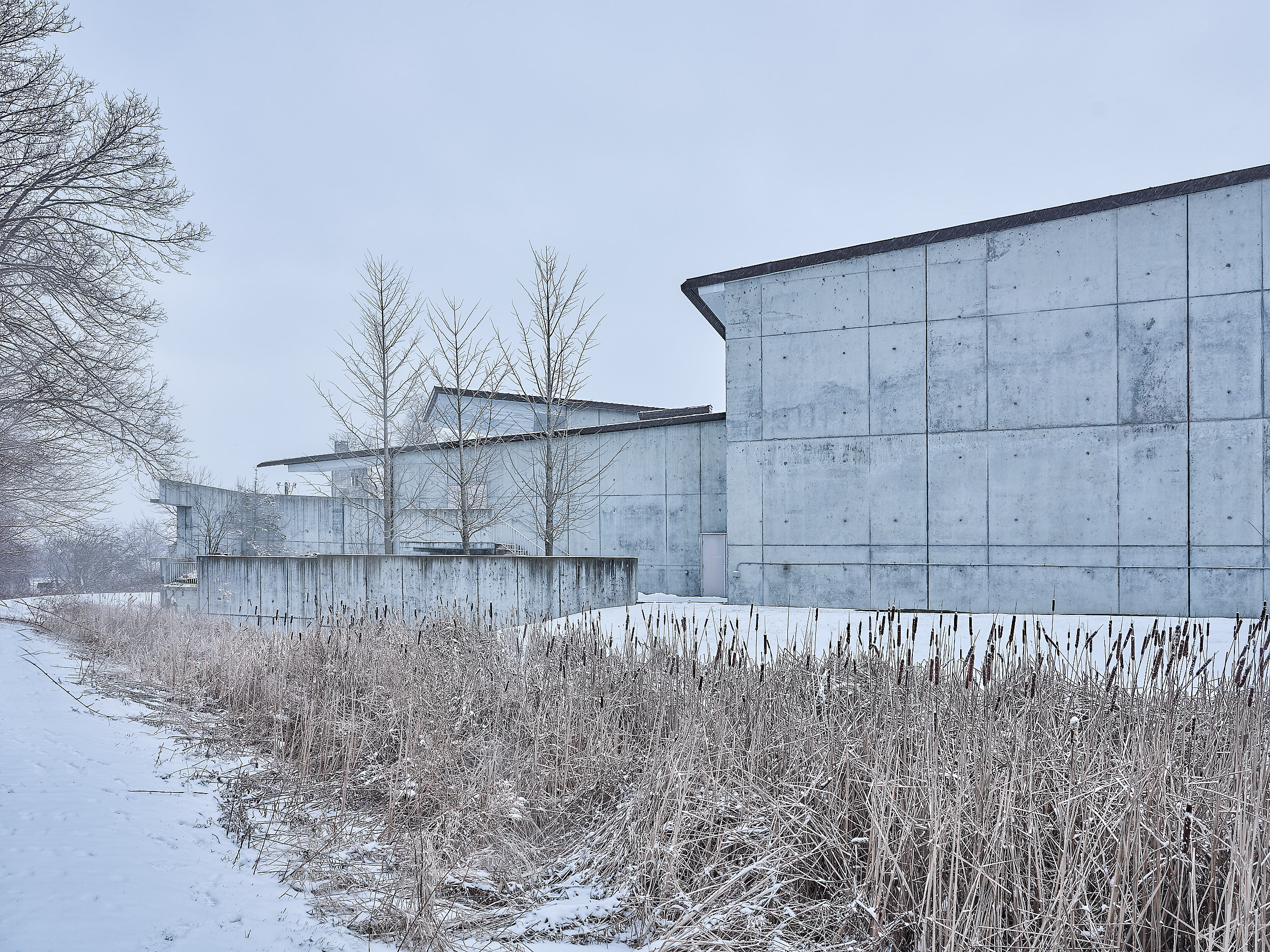 WEISS/MANFREDI - Museum of the Earth, Cornell University