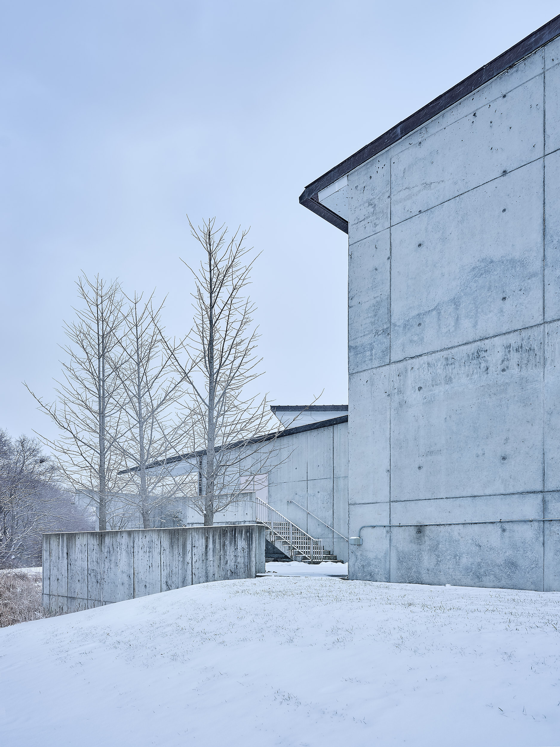  WEISS/MANFREDI - Museum of the Earth, Cornell University 