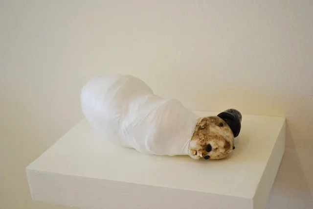 SWADDLING