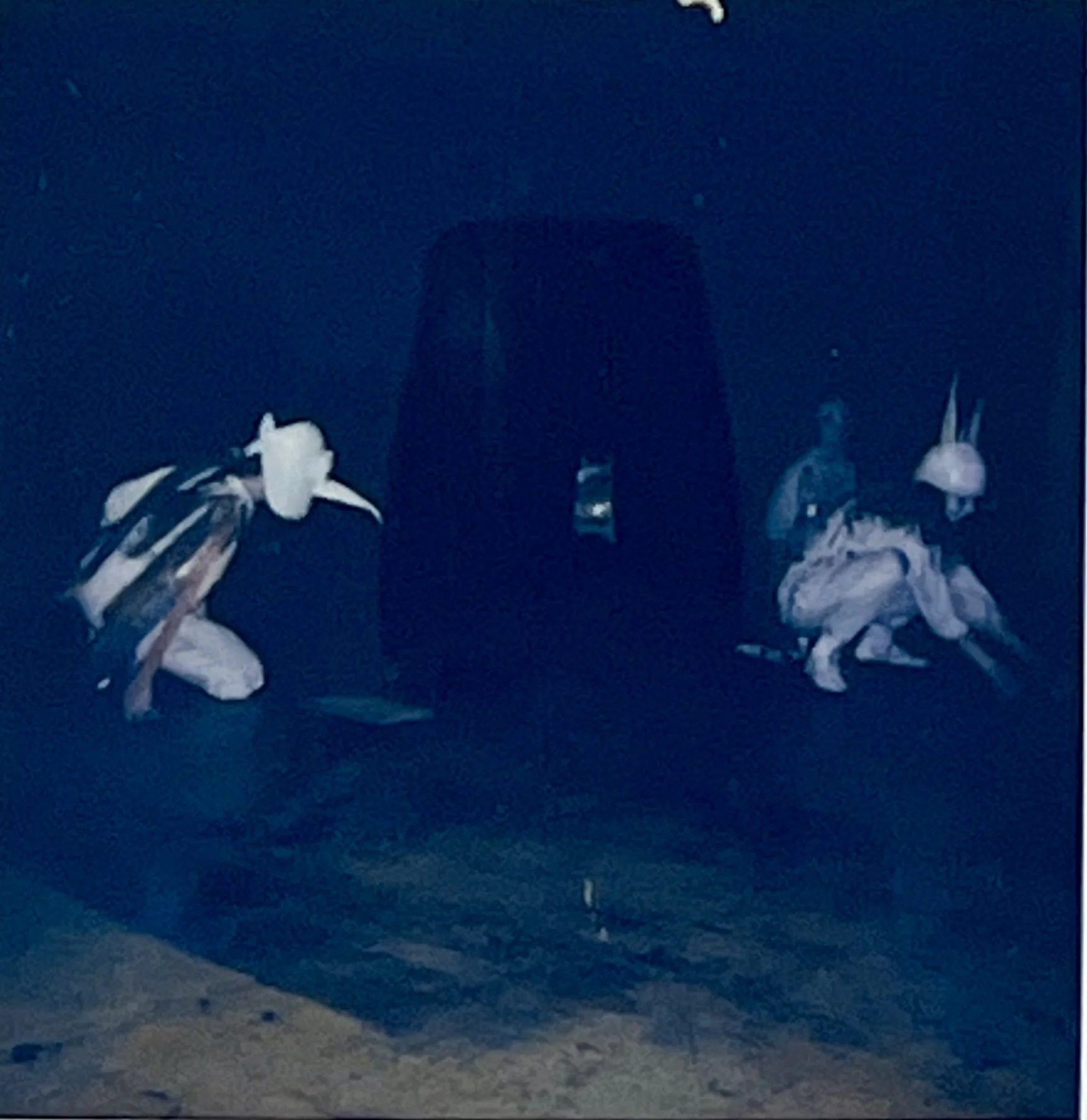 Two animal-like performers crouch low and face one another across a marked section of factory floor.