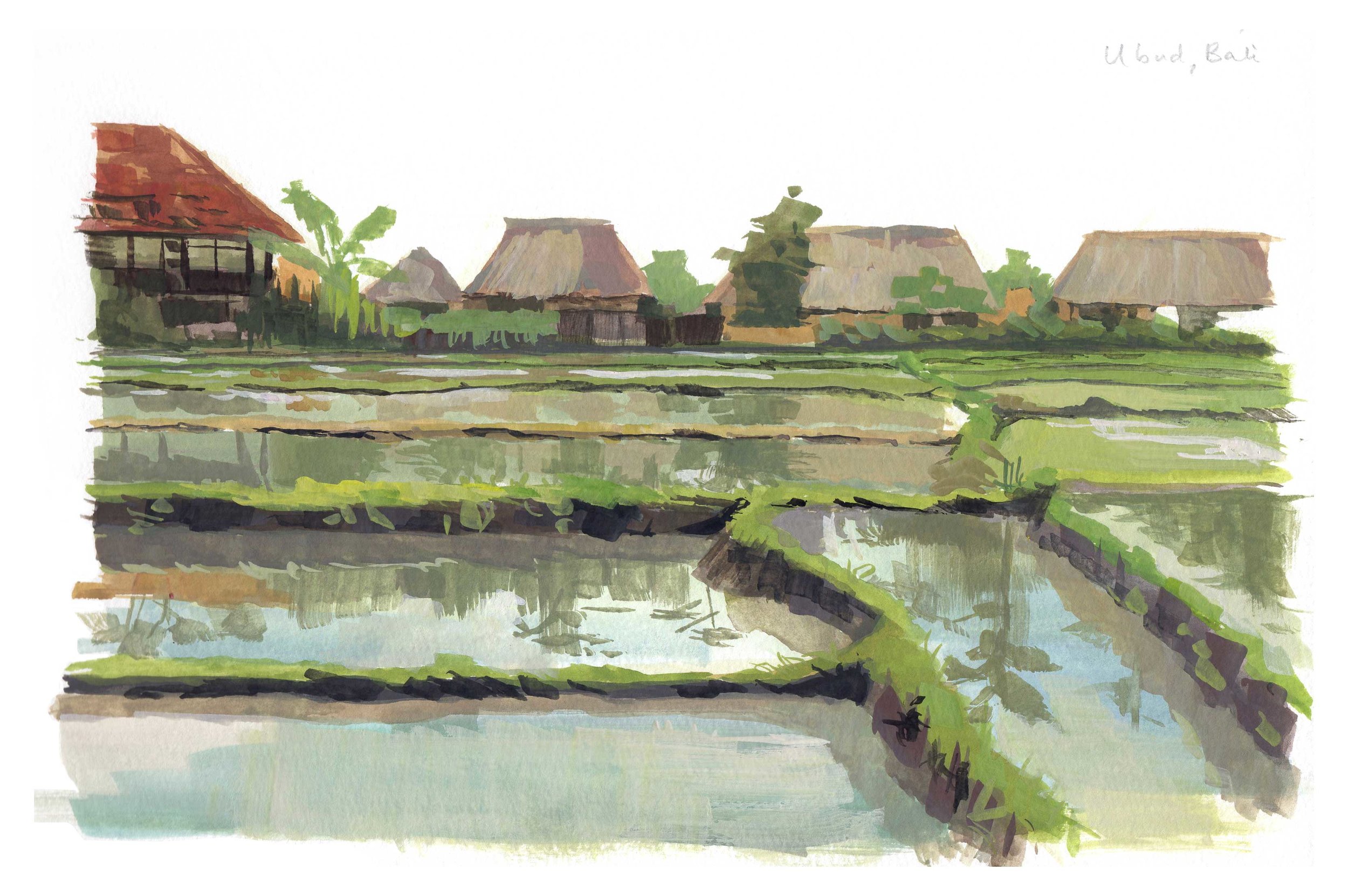 Bali, Priscilla Tey, Illustration Art