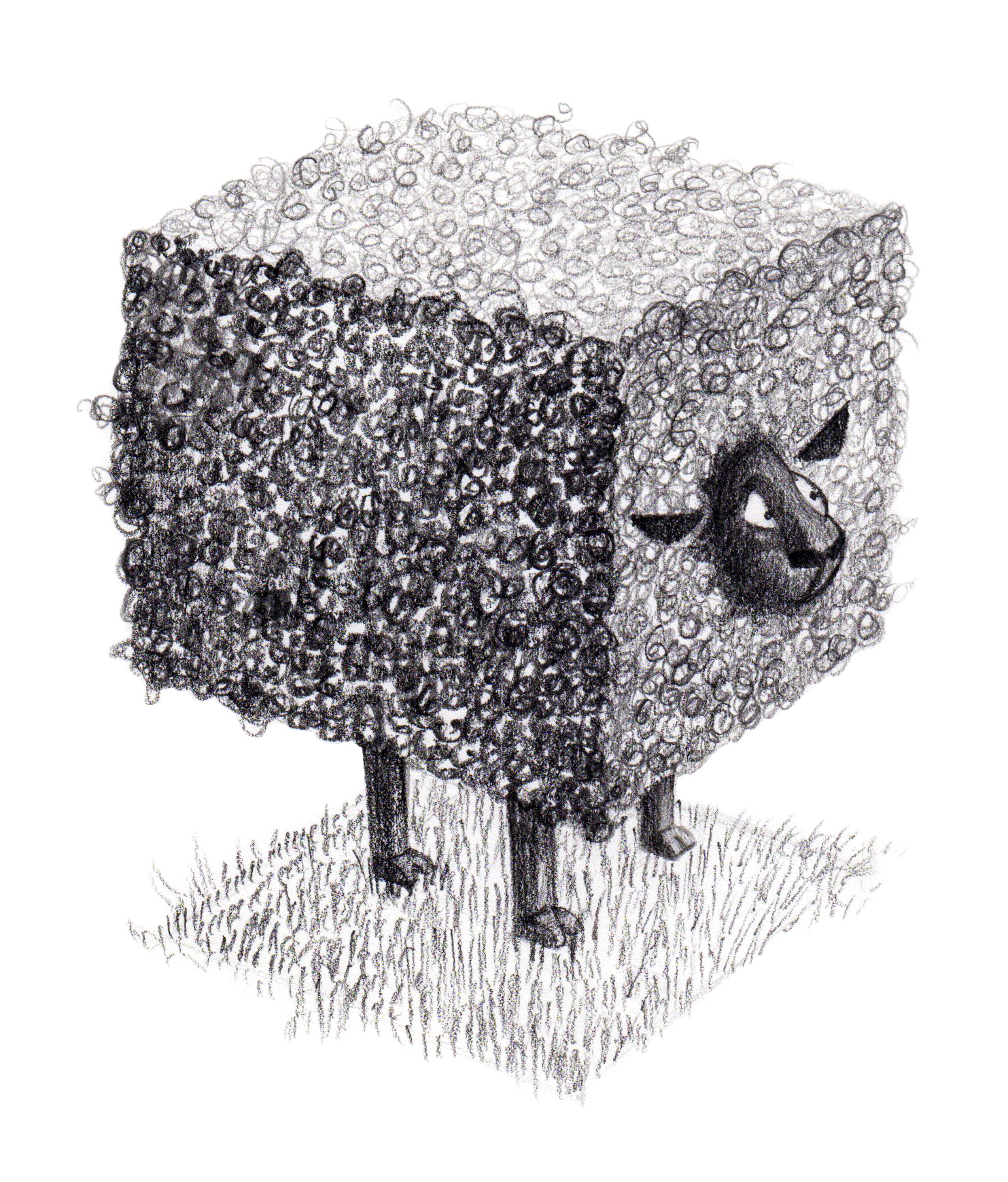 sheep_001_edited.png