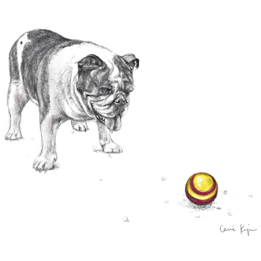 Bulldog and Ball PNG.png