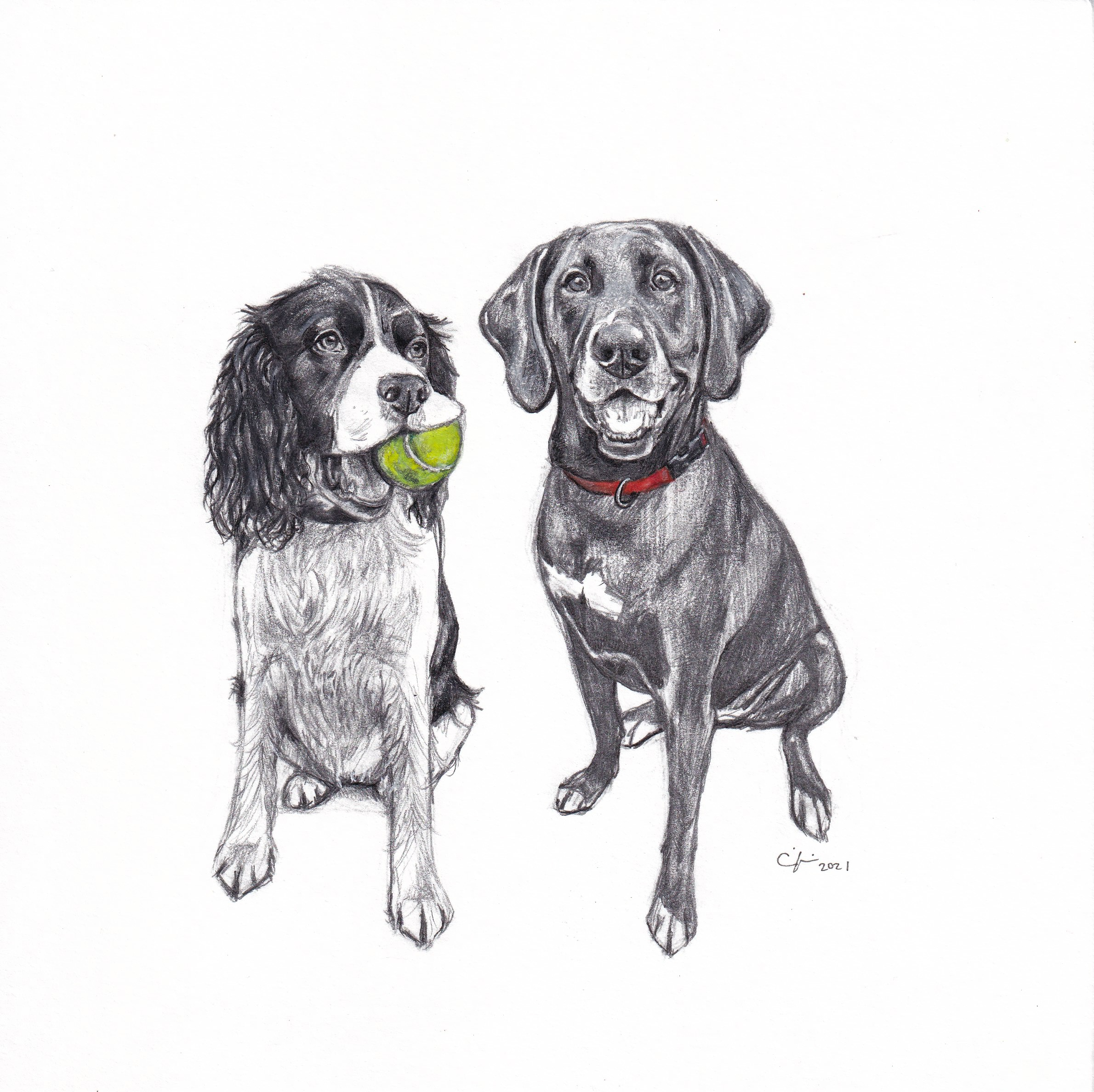 Sam Bourneuf two in one .png