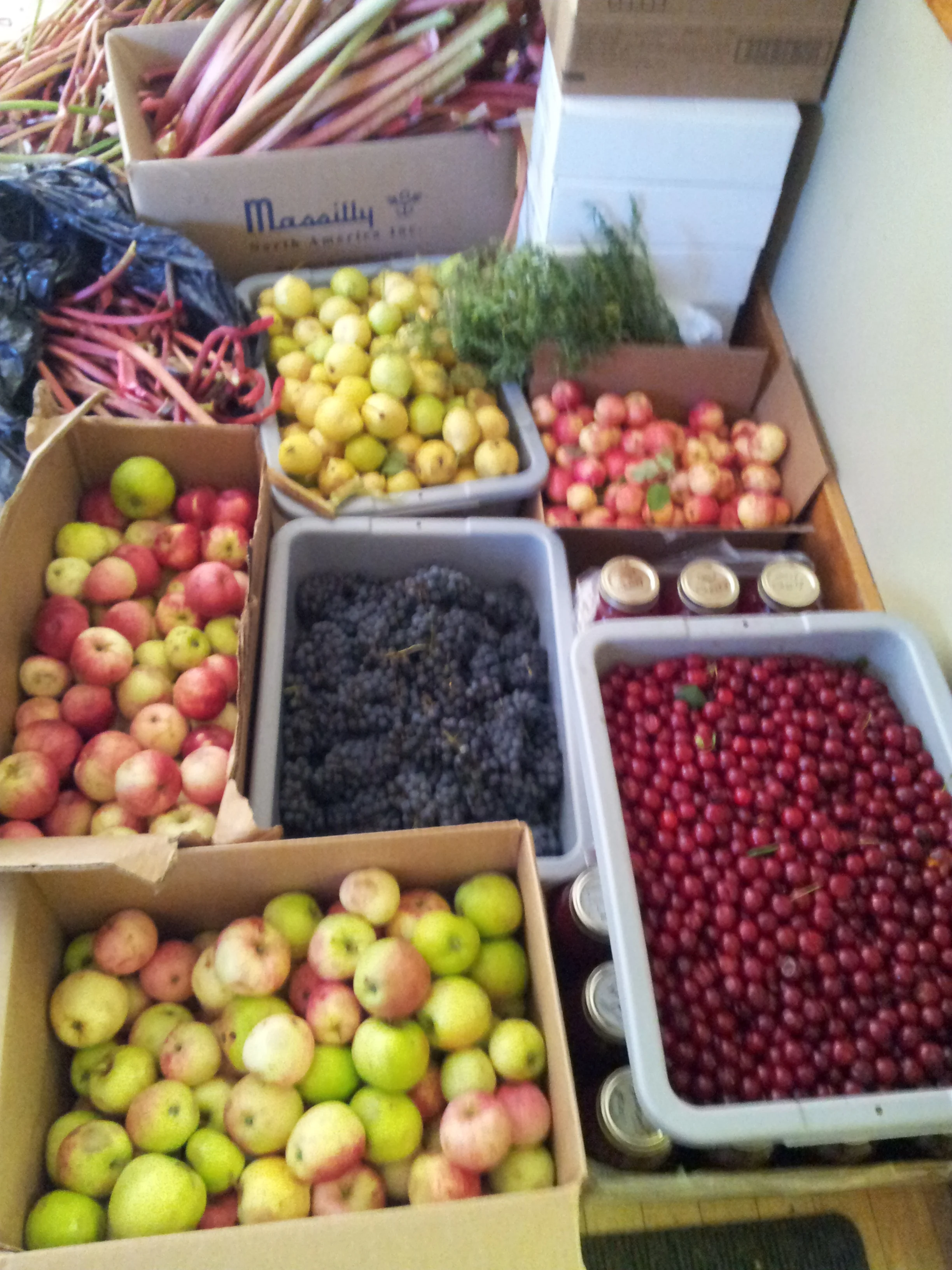 September 2013 bounty