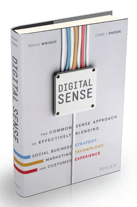 Final Digital Sense Book Cover Sneak Peak