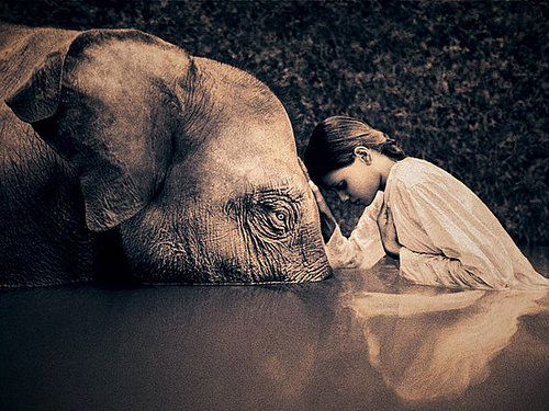 Another of my favorites, from Gregory Colbert