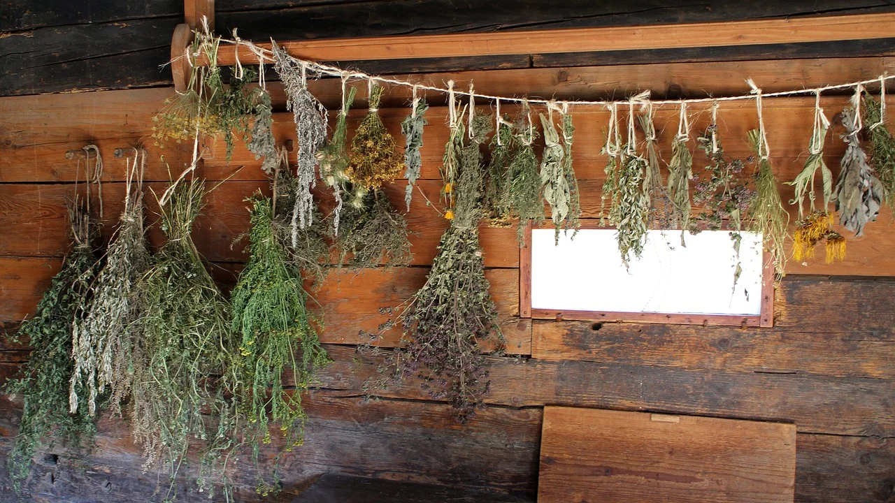 My Top 3 Herbs For Chronic Fatigue